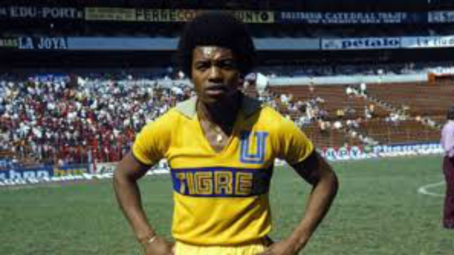 Gerónimo Barbadillo Tigres