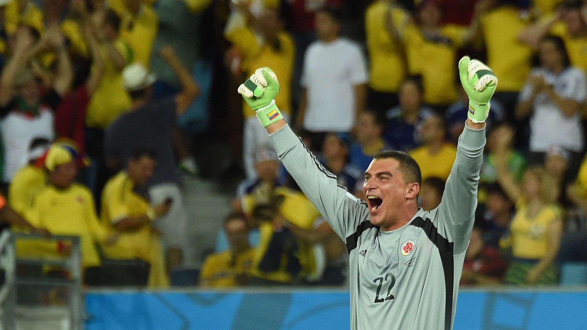 Faryd Mondragon Colombia