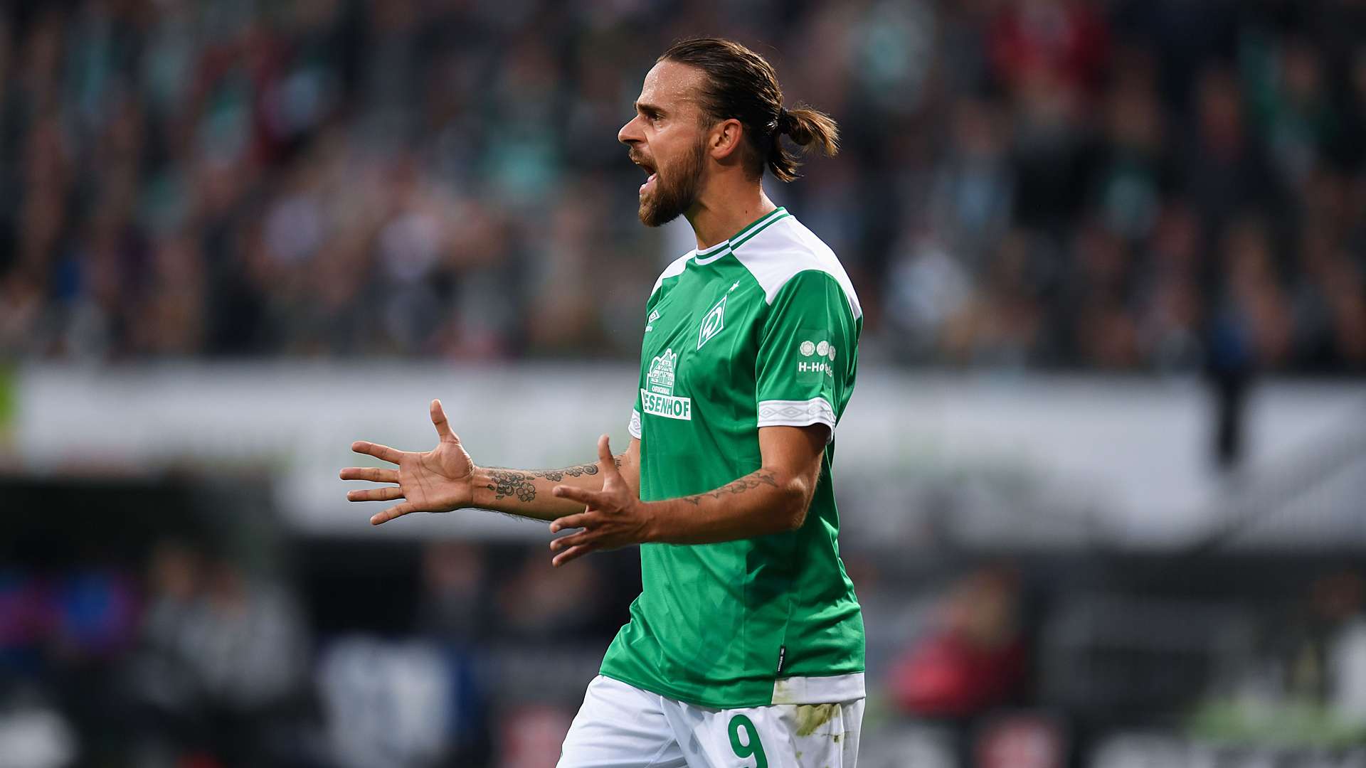 Martin Harnik Werder Bremen