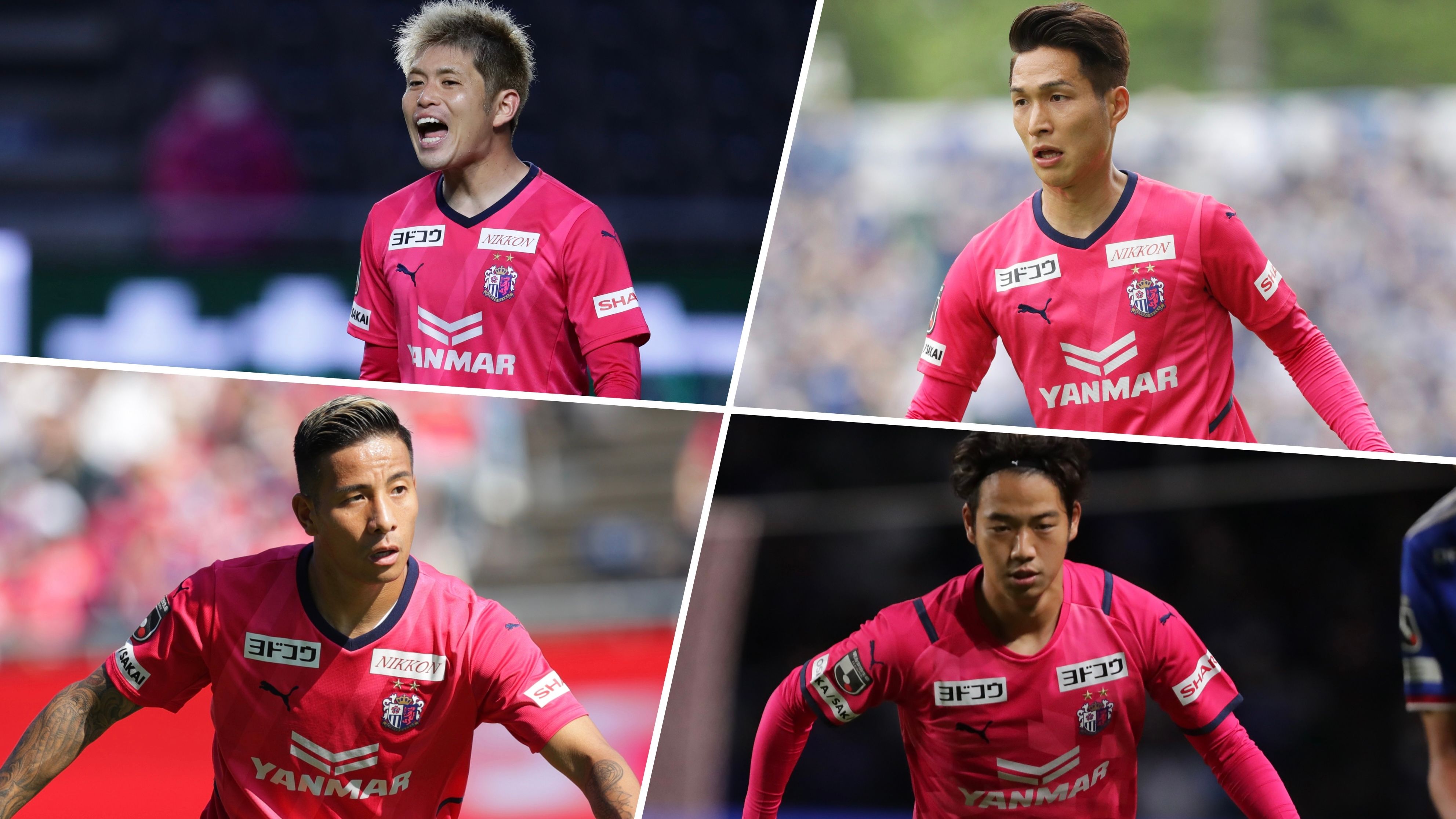 239C7619-FDE0-4D7A-9D16-