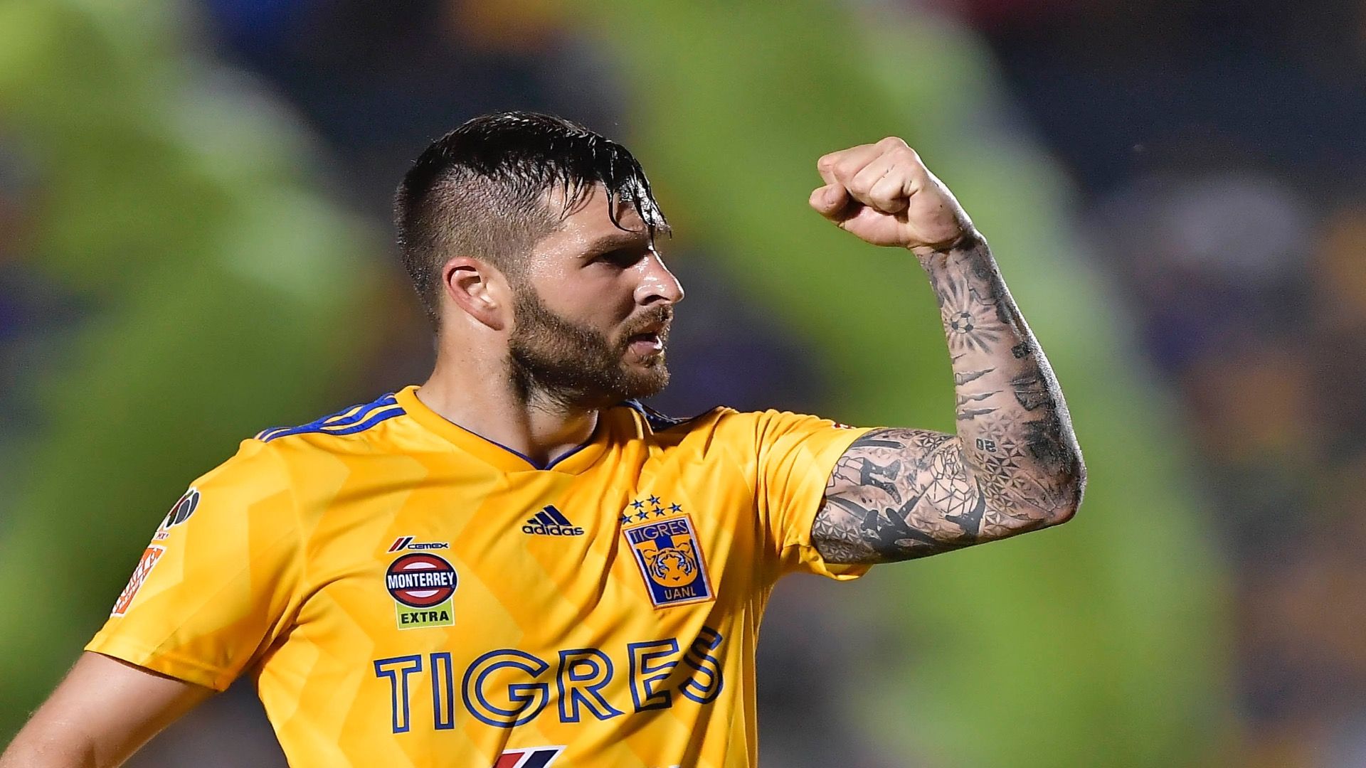 André-Pierre Gignac Tigres