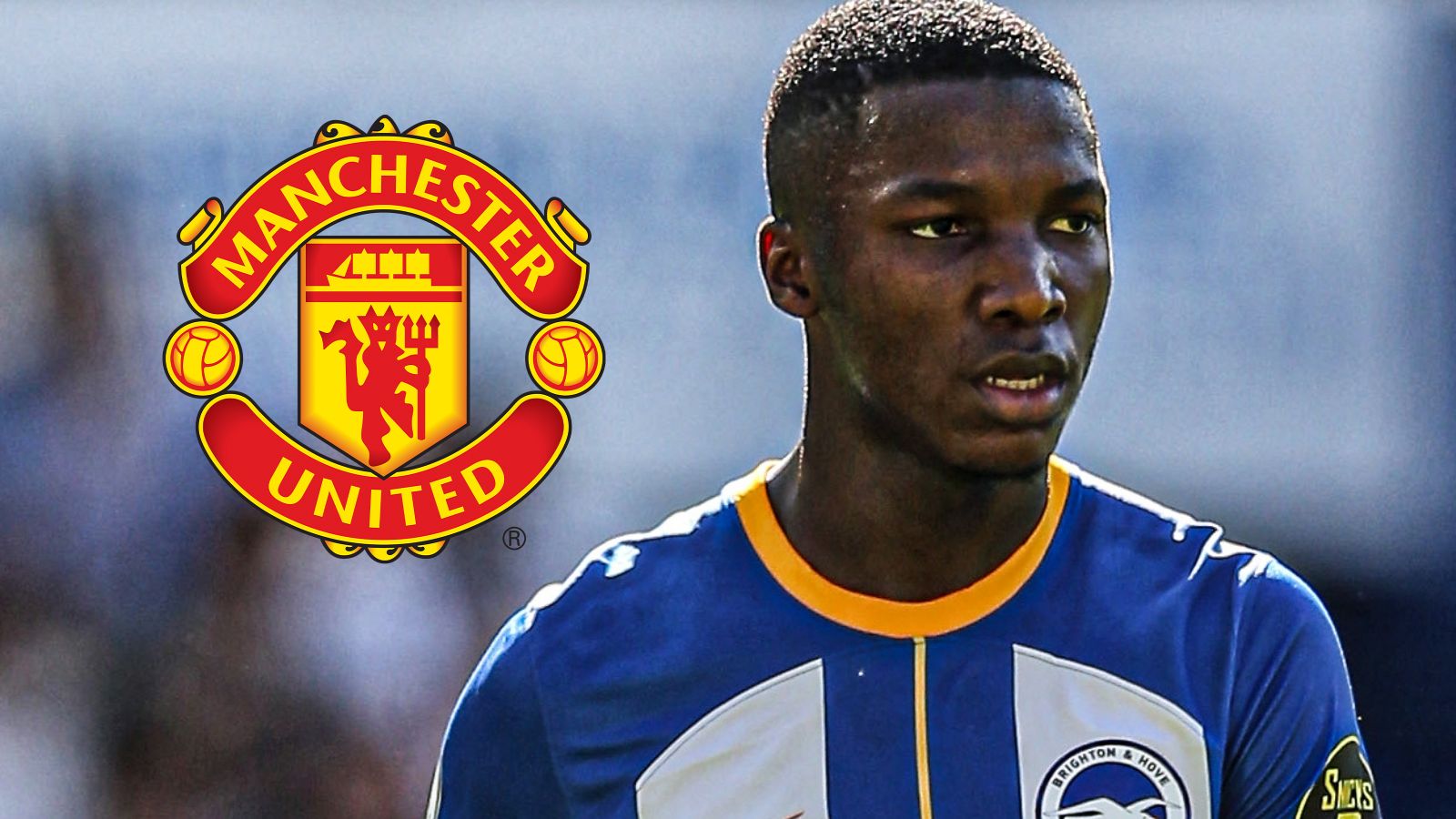 Moises Caicedo Man Utd GFX