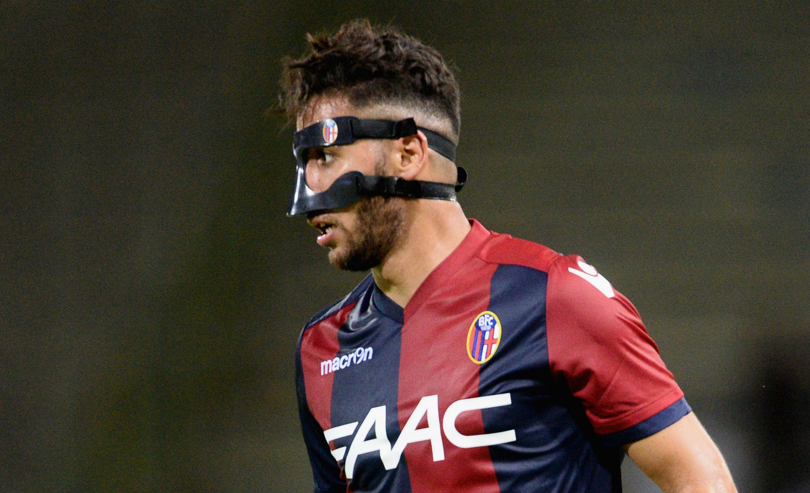 Taider Bologna