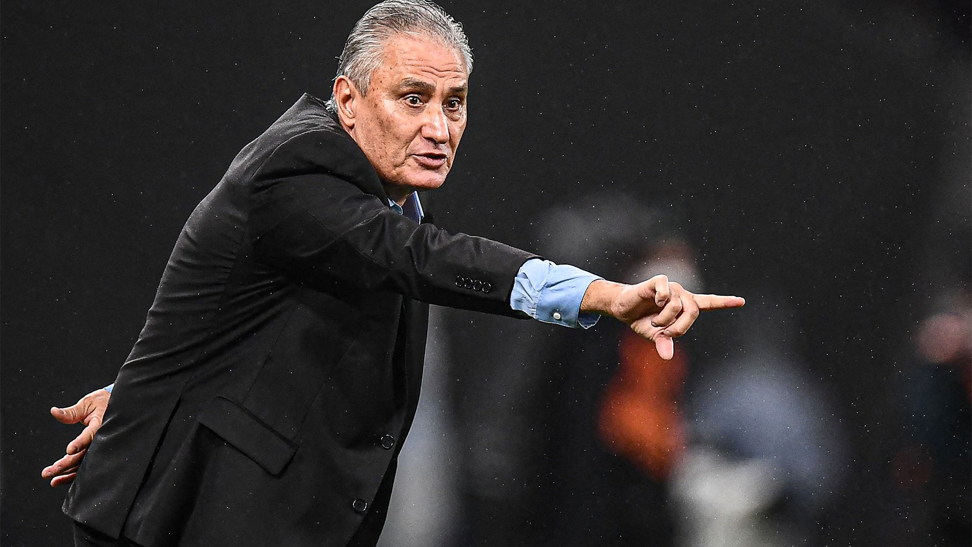 Tite Brazil 2022