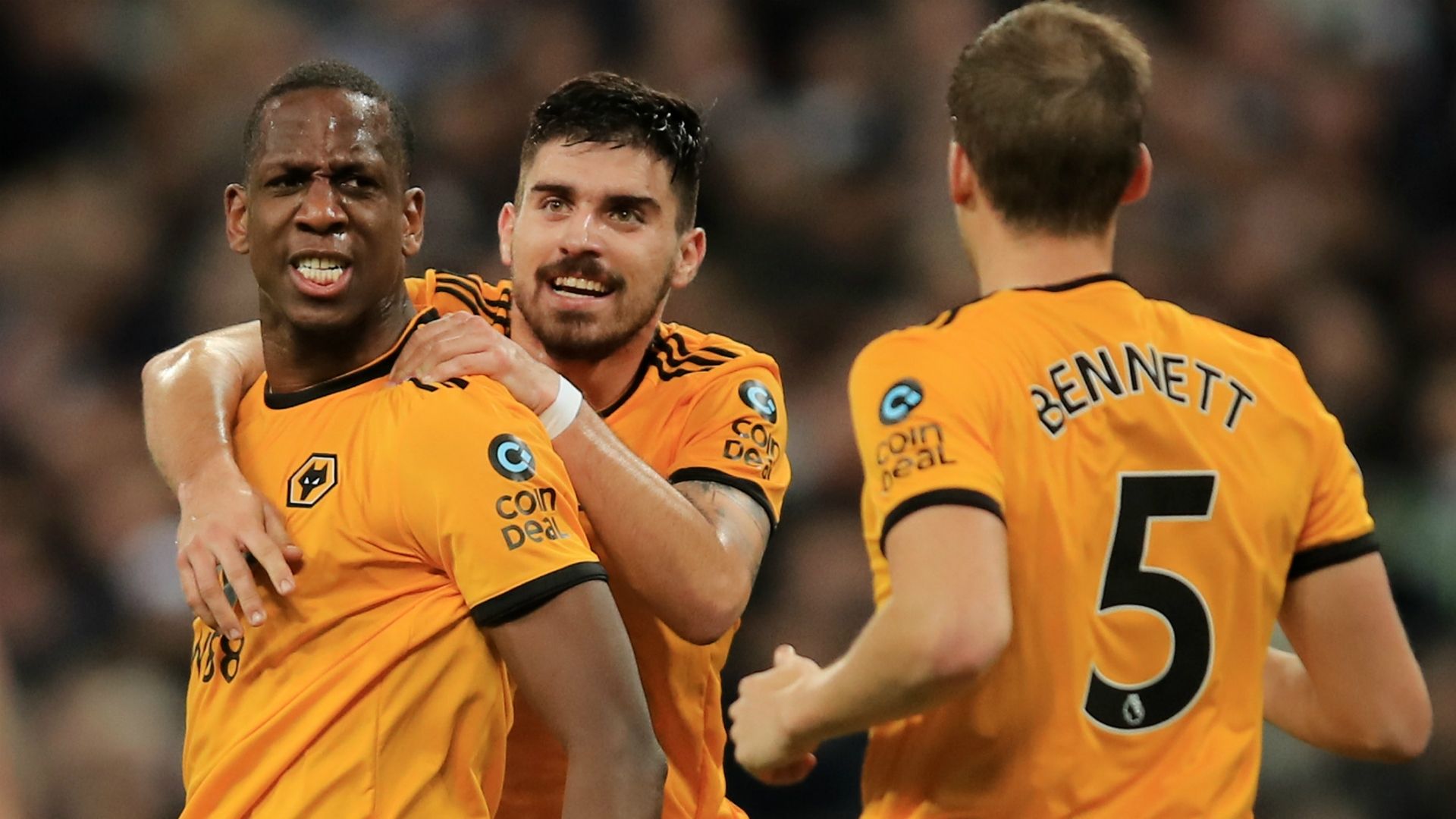 Willy Boly Wolves Tottenham 29122018