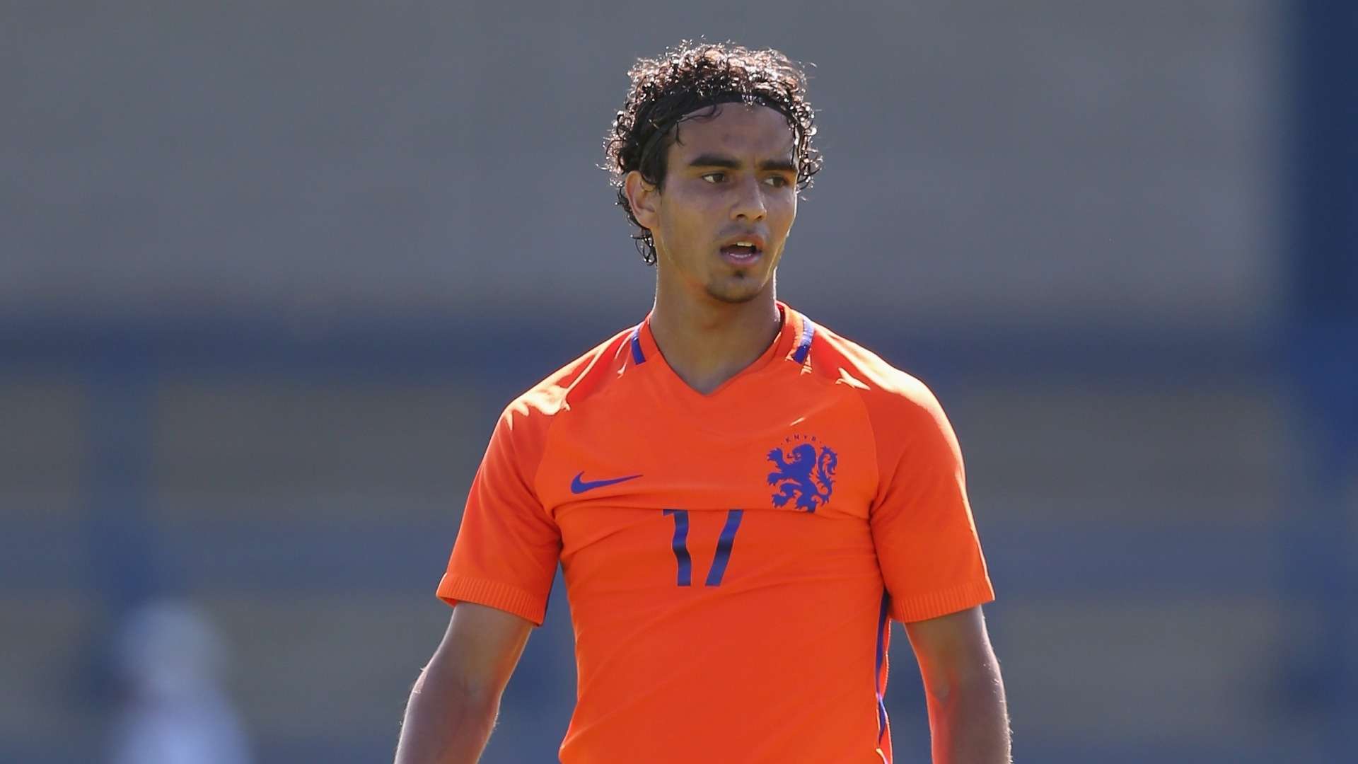 Mitchell Van Rooijen