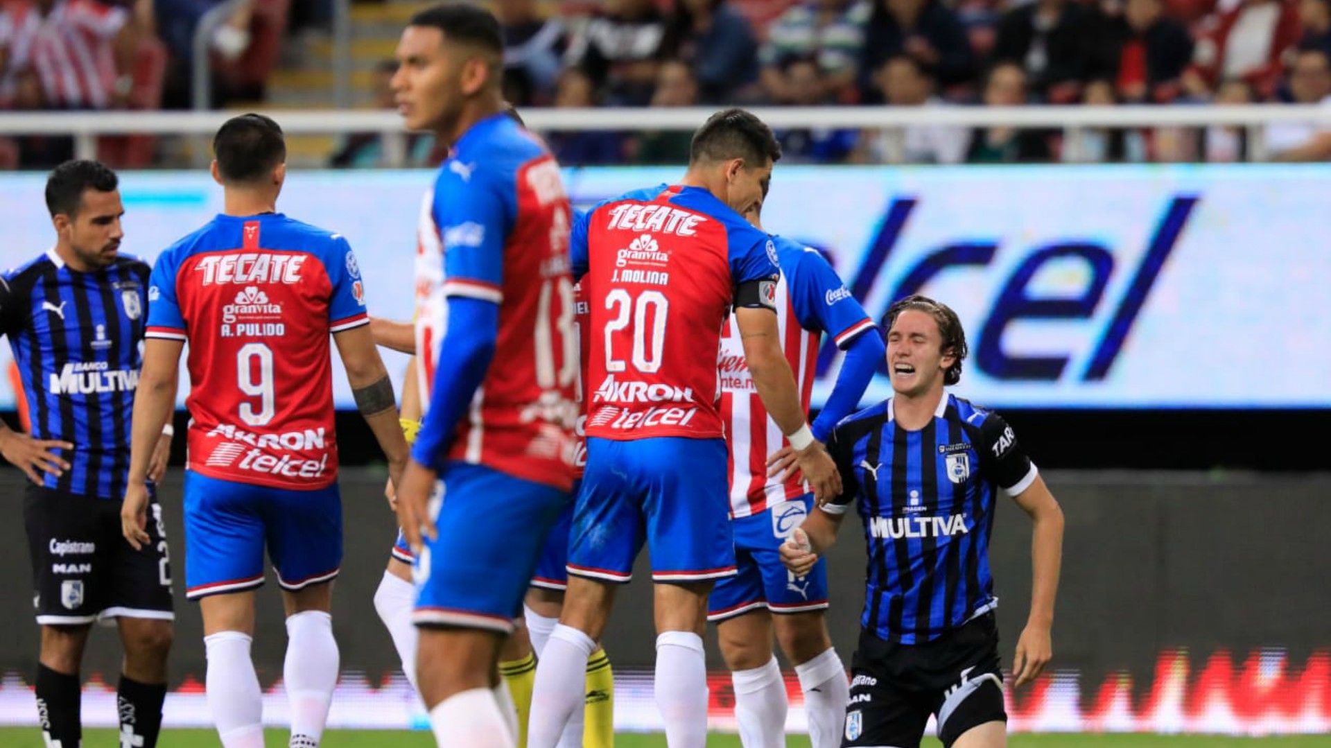 Chivas Querétaro Apertura 2019