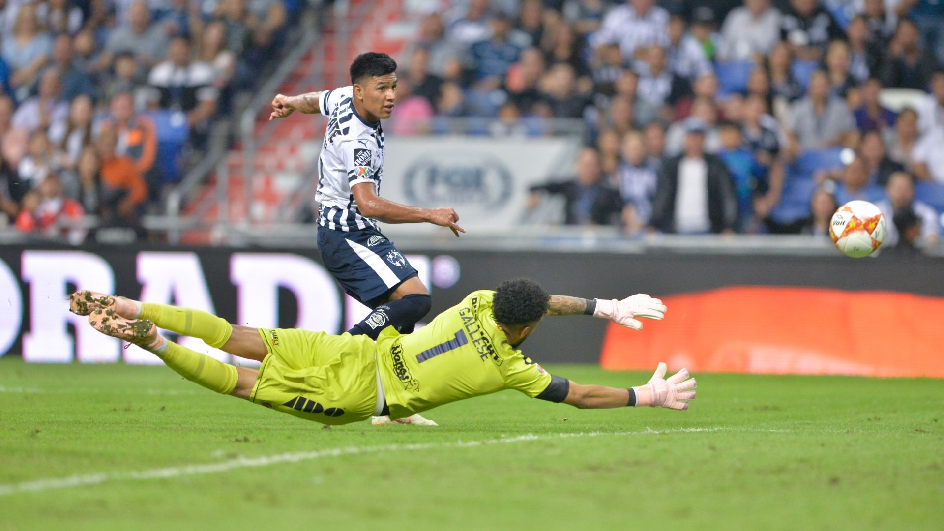 Jesus Gallardo Monterrey