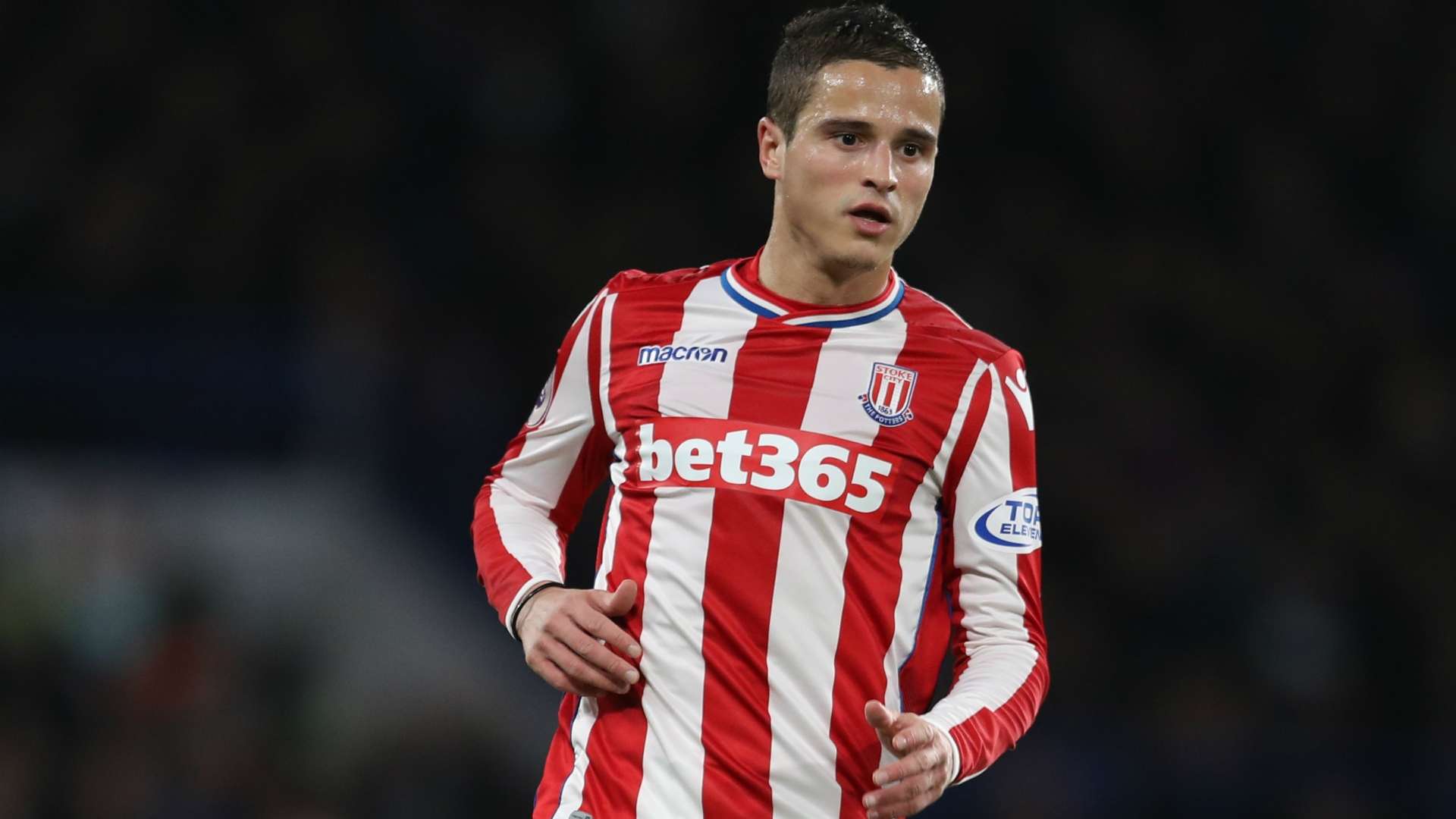 Ibrahim Afellay Stoke City 12302017