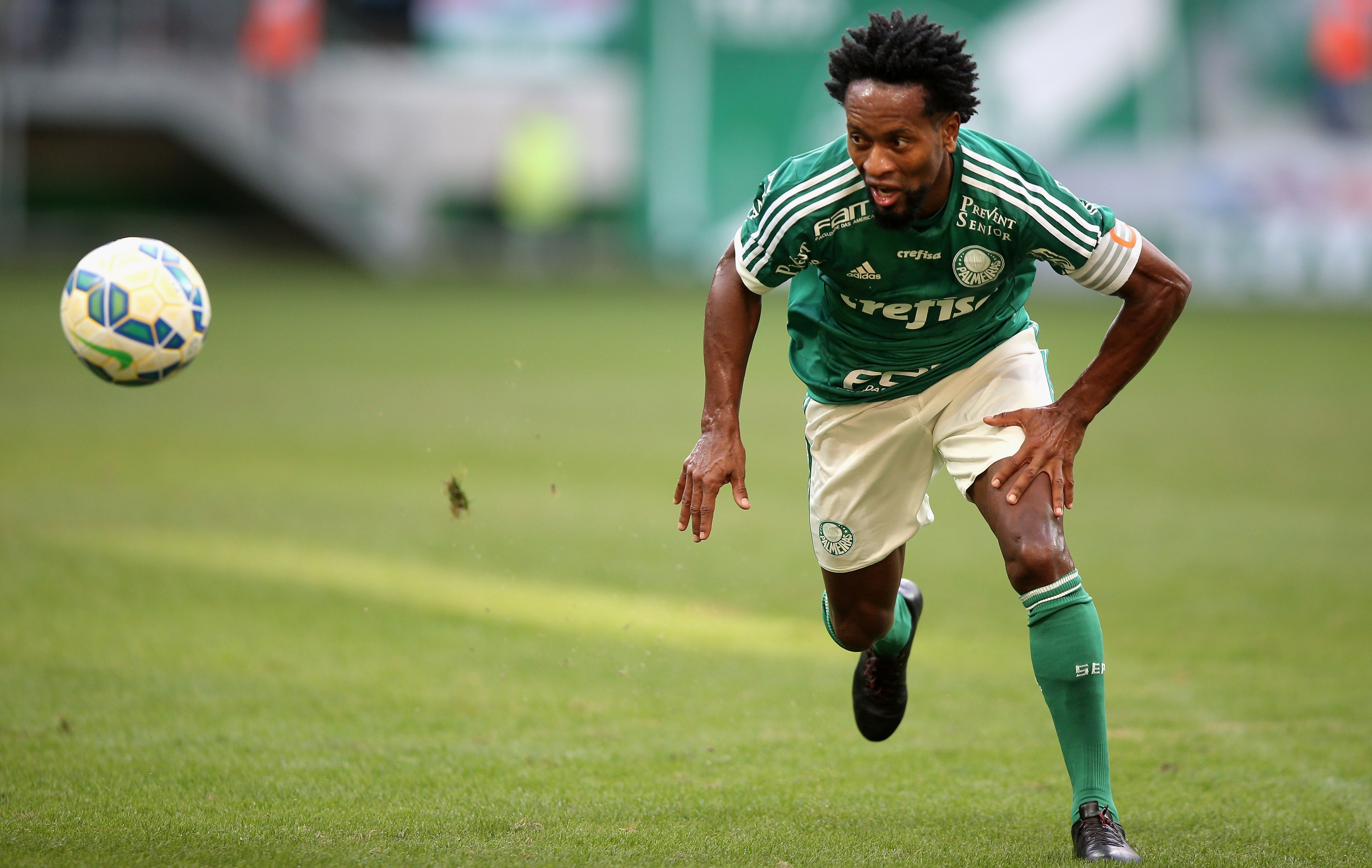Zé Roberto Palmeiras