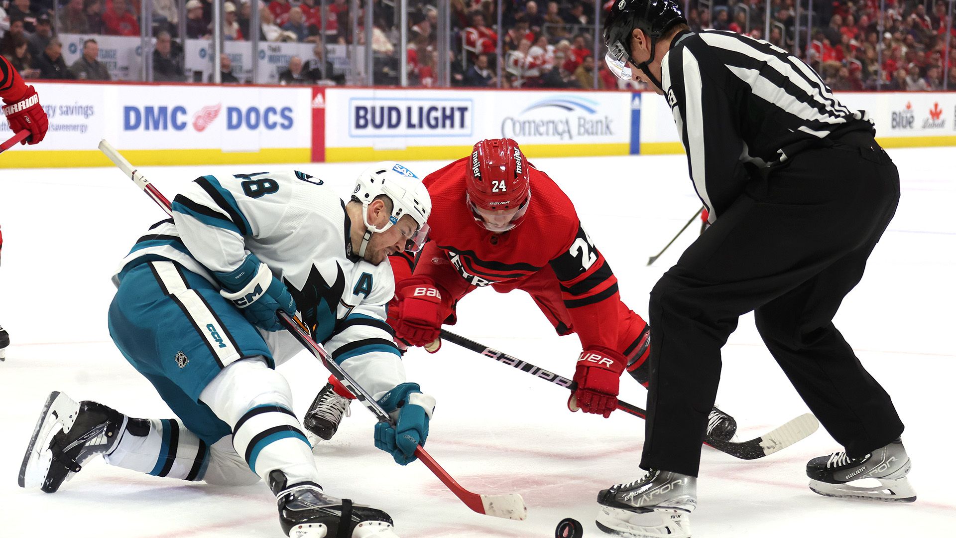 sharks red wings NHL
