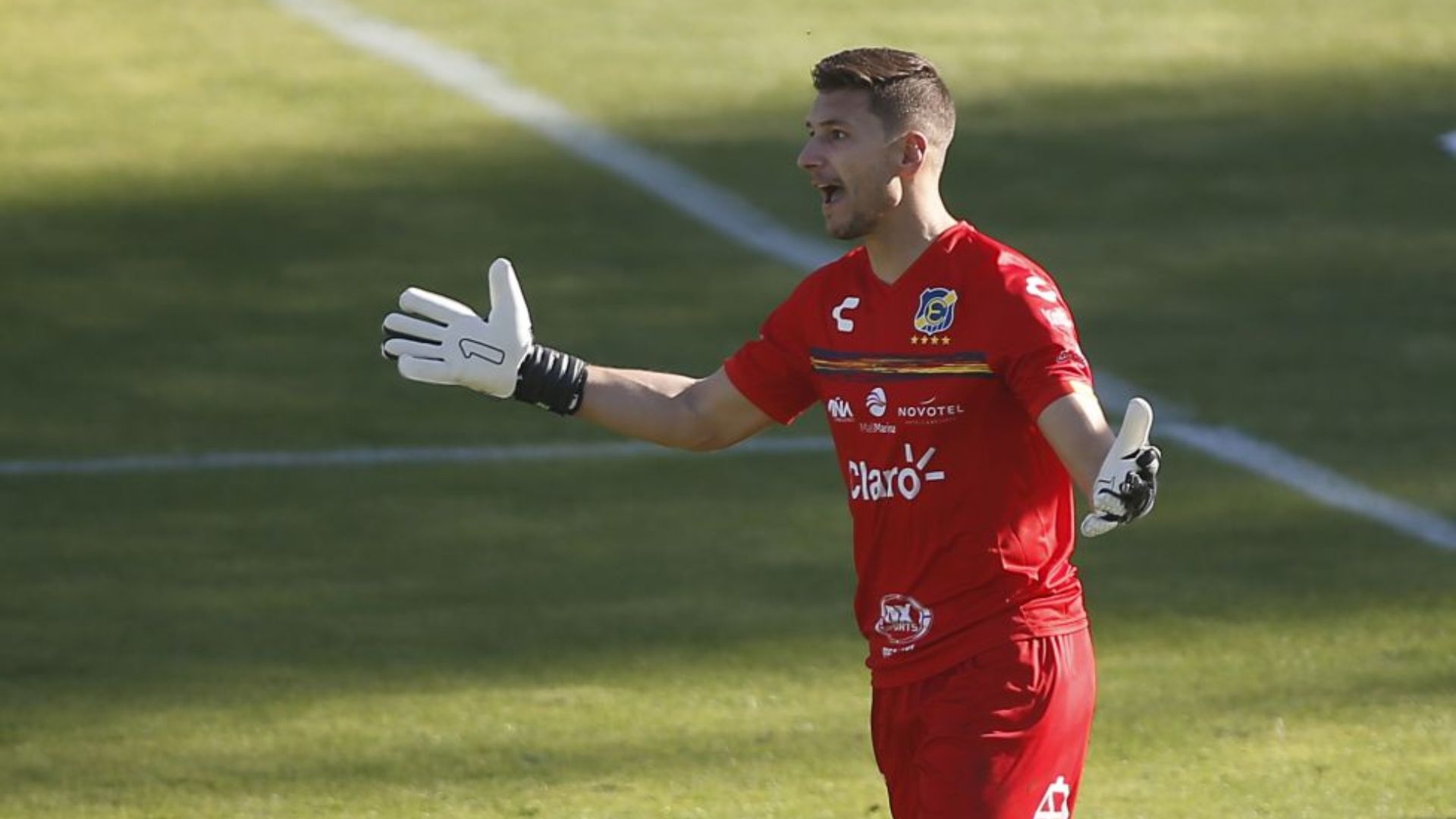 Franco Torgnascioli Everton