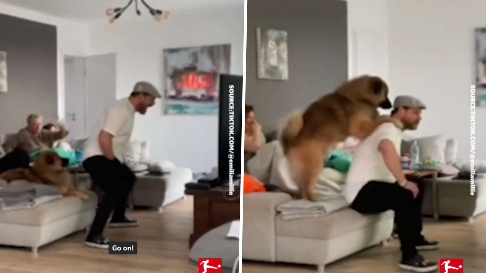 Steffen Baumgart and his dog