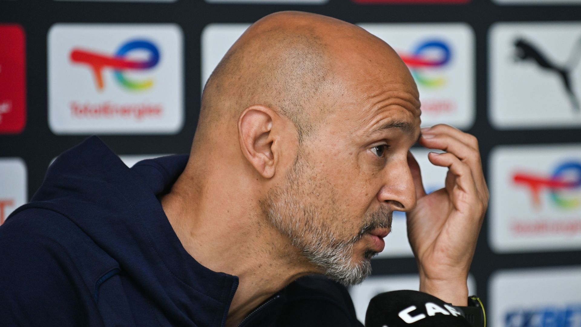 Miguel Cardoso, Mamelodi Sundowns 