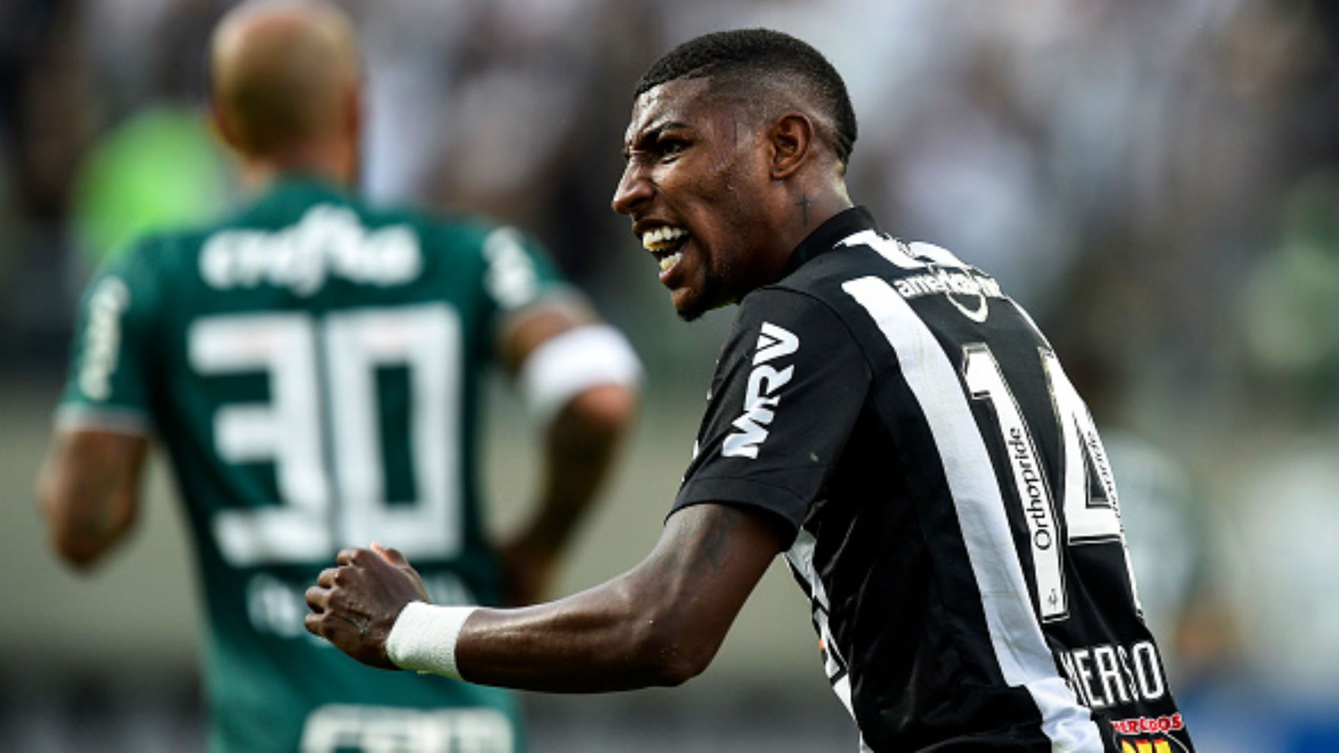 Emerson Aparecido Mineiro