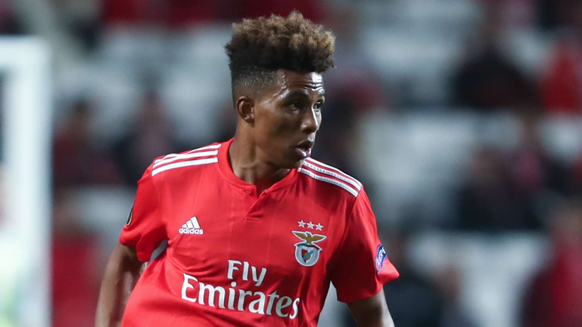 Gedson Fernandes Benfica