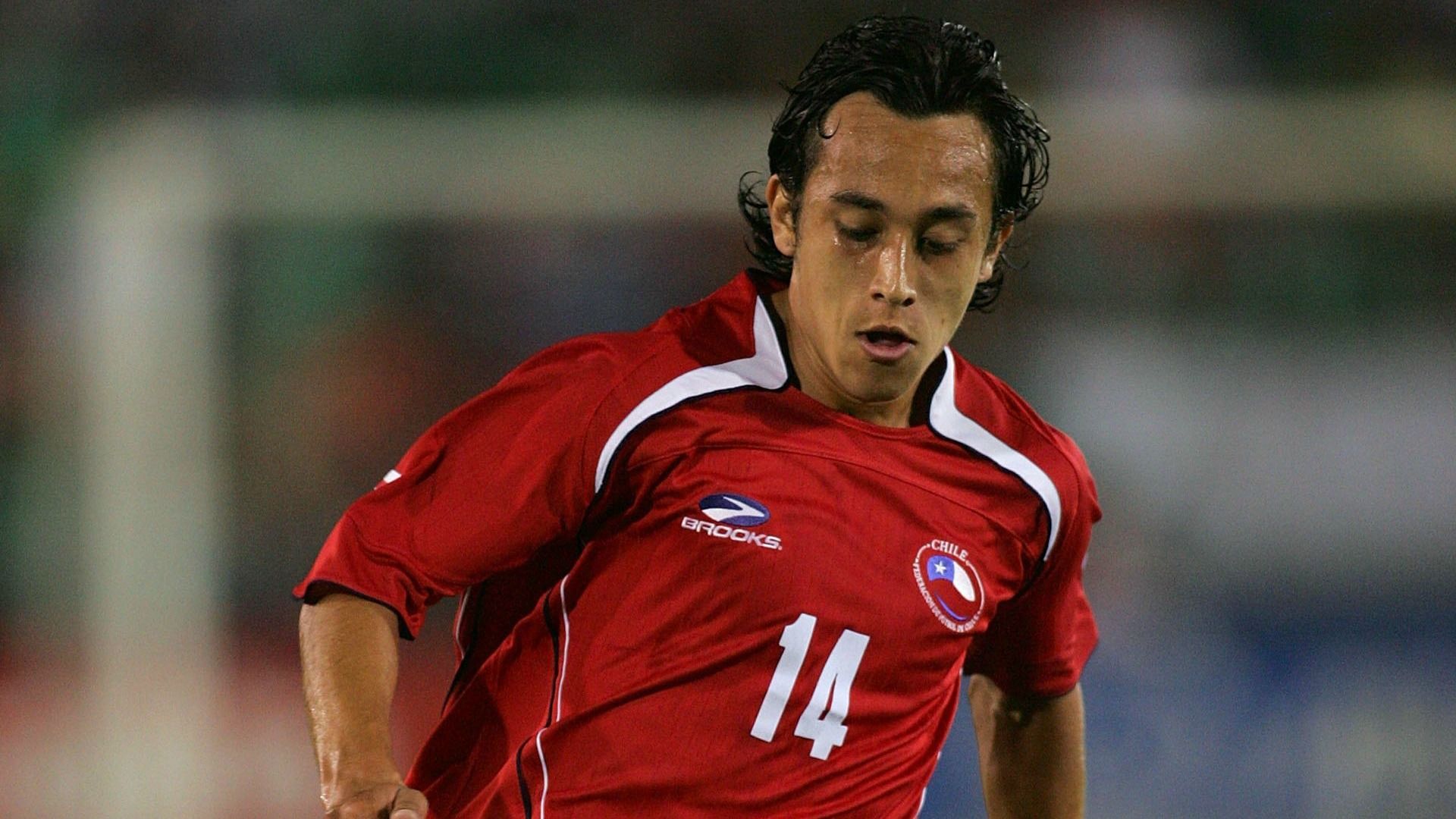 Fabián Orellana 2008