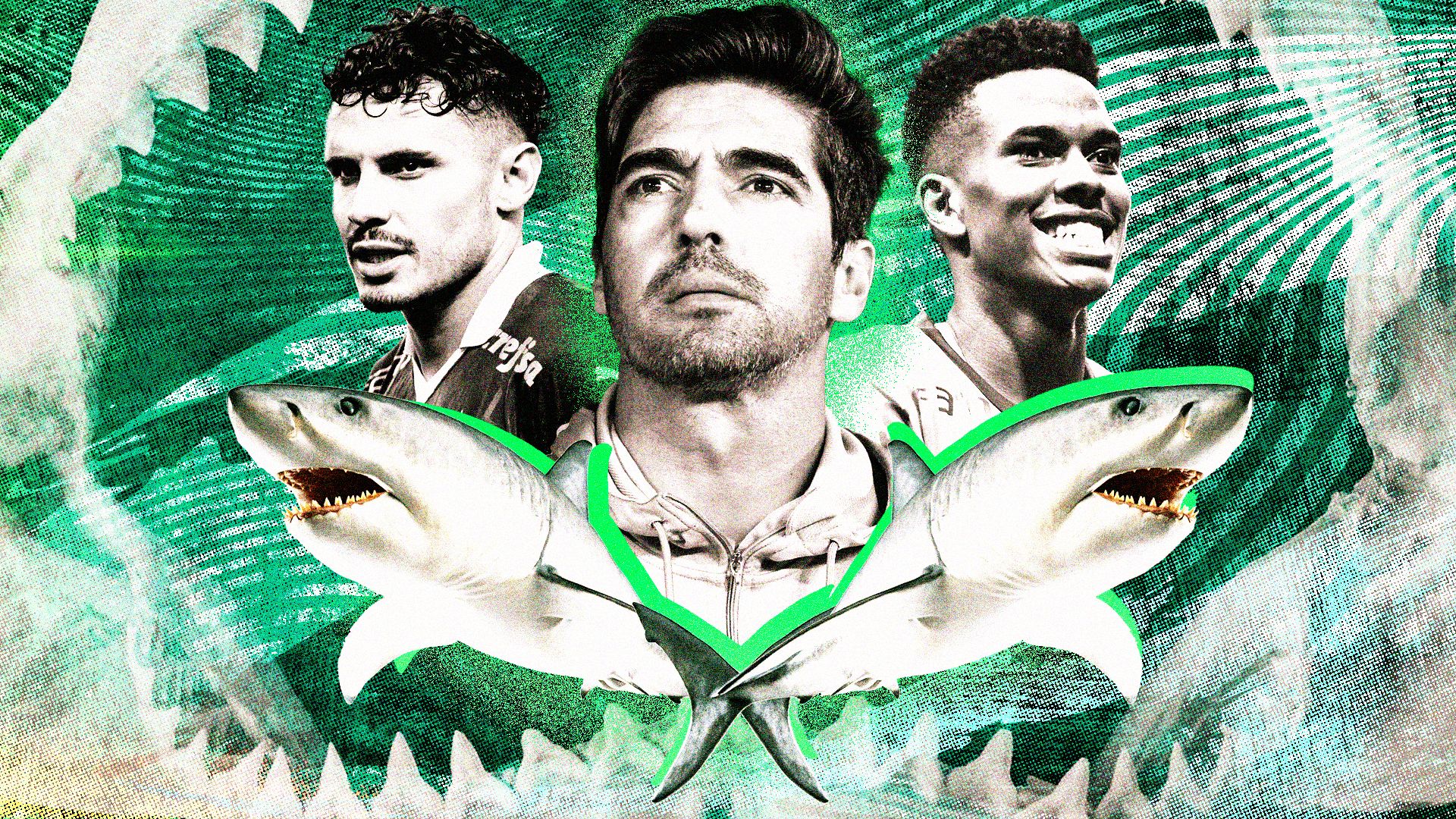 Abel Ferreira Palmeiras Tubarão 16x9