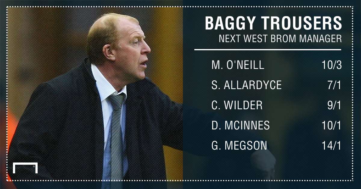 west brom manager 20-11-17 graphic