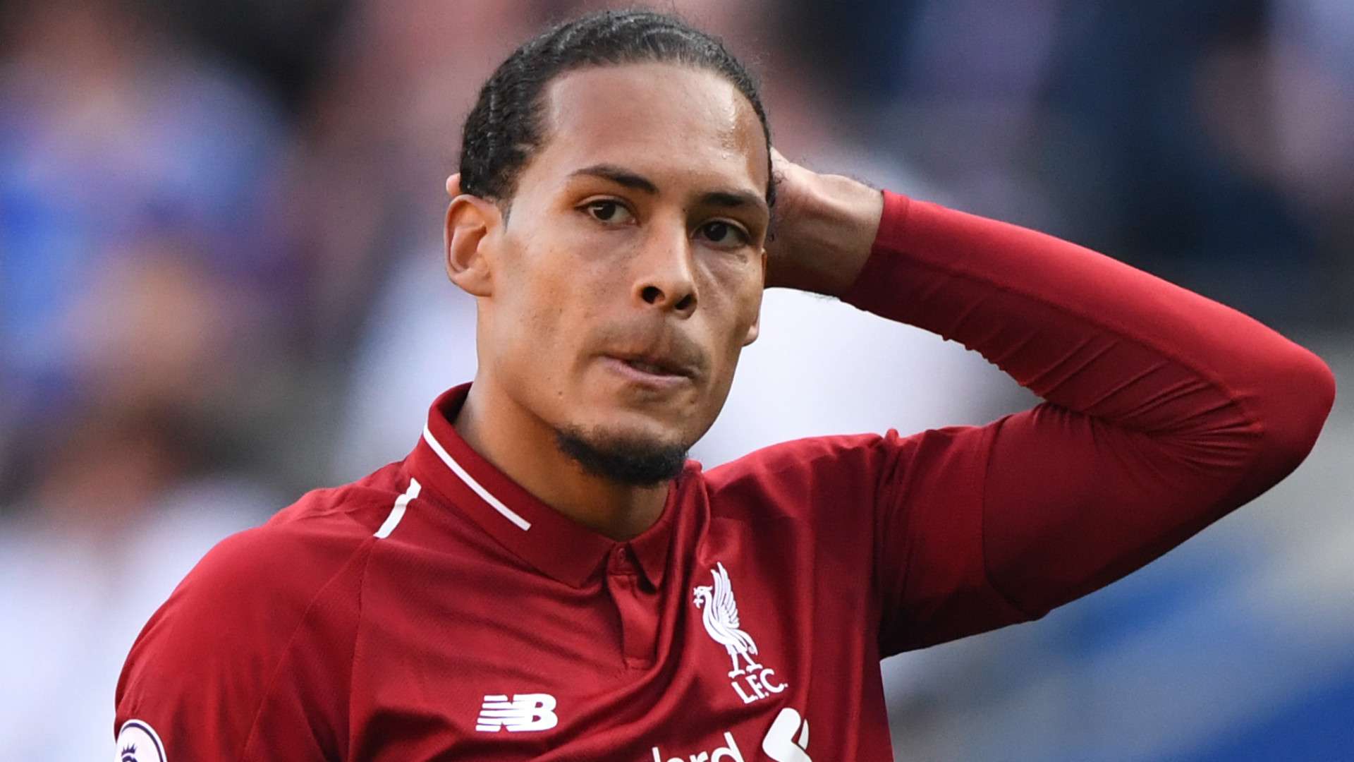Virgil van Dijk Liverpool 2018-19