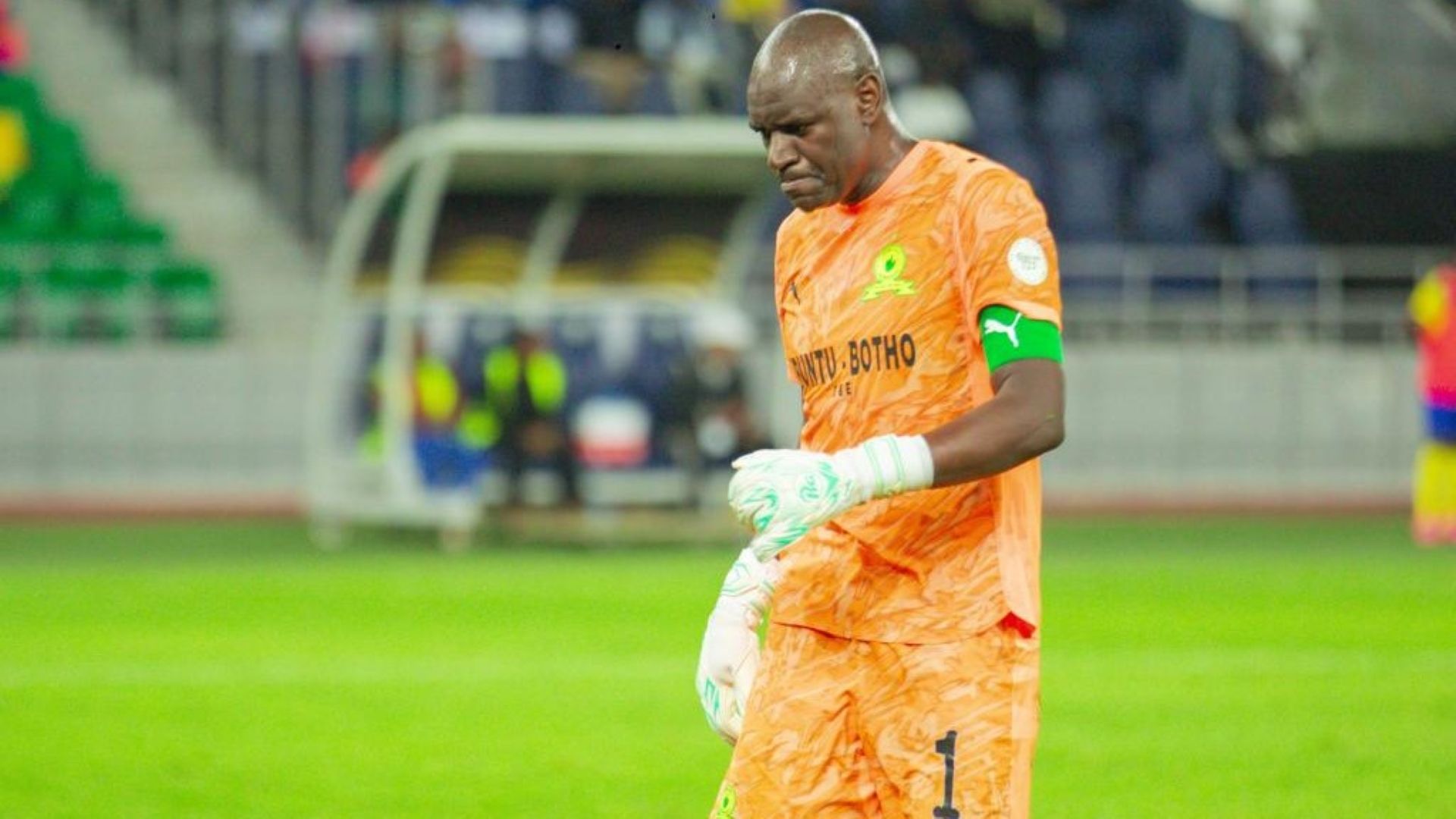 Denis Onyango, Mamelodi Sundowns