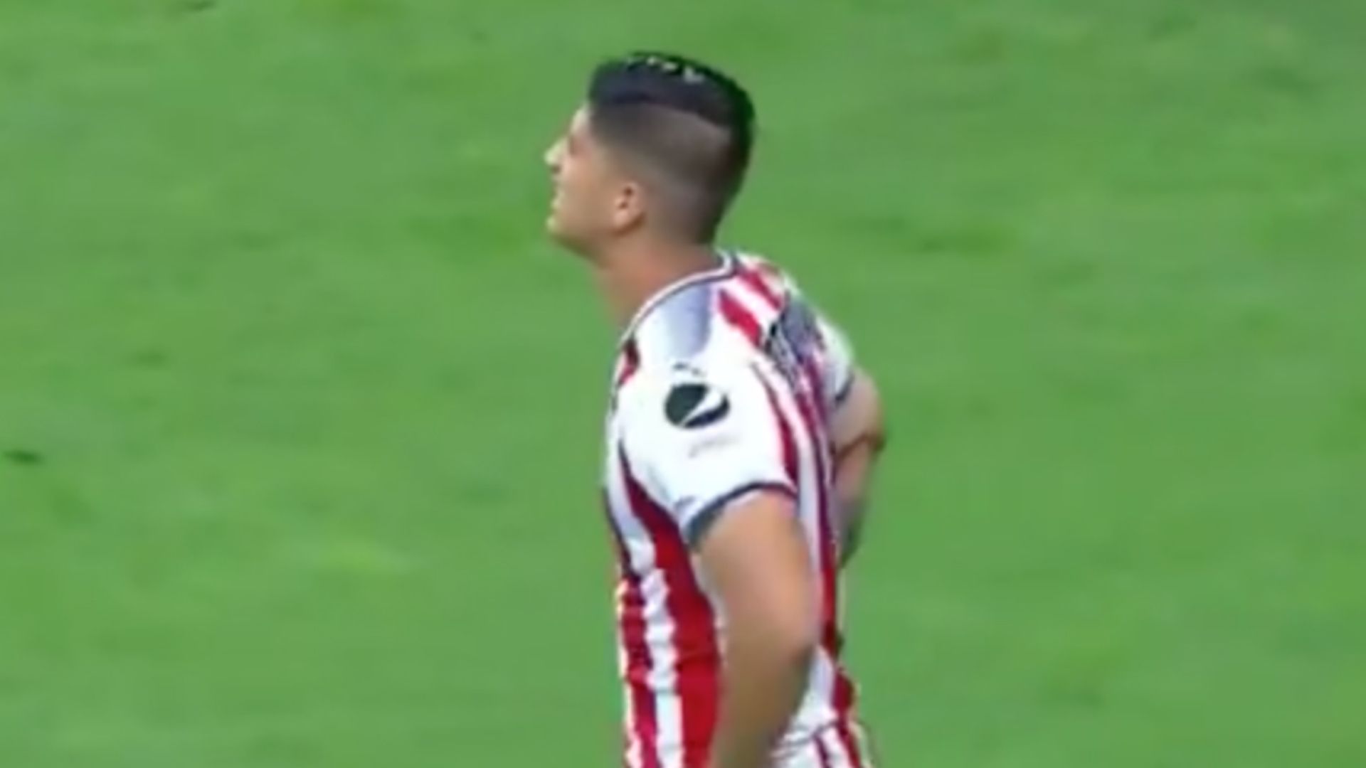 Alan Pulido
