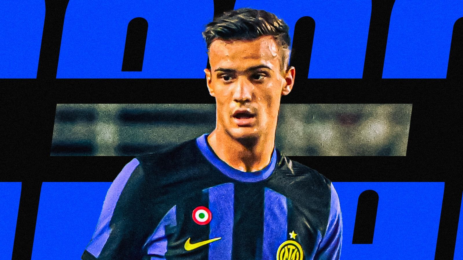 grafica stankovic inter