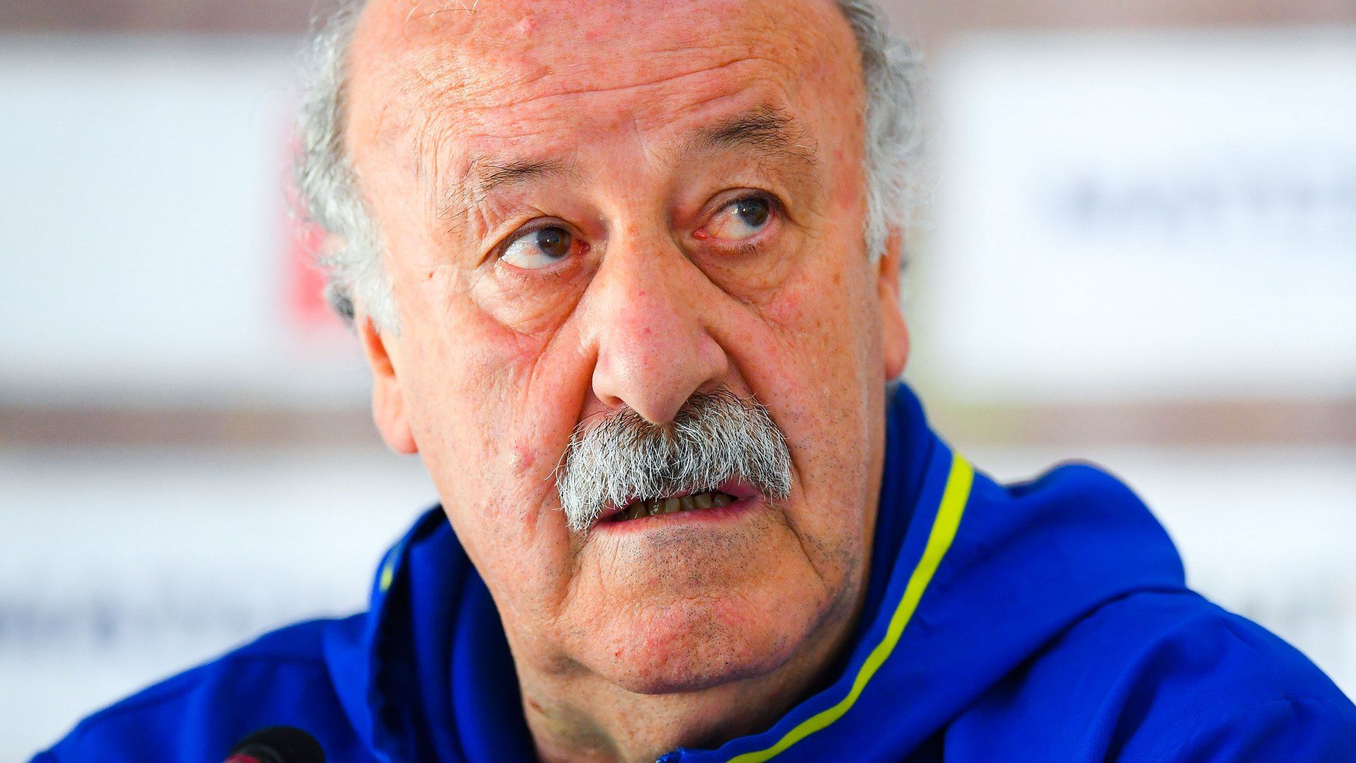Vicente Del Bosque