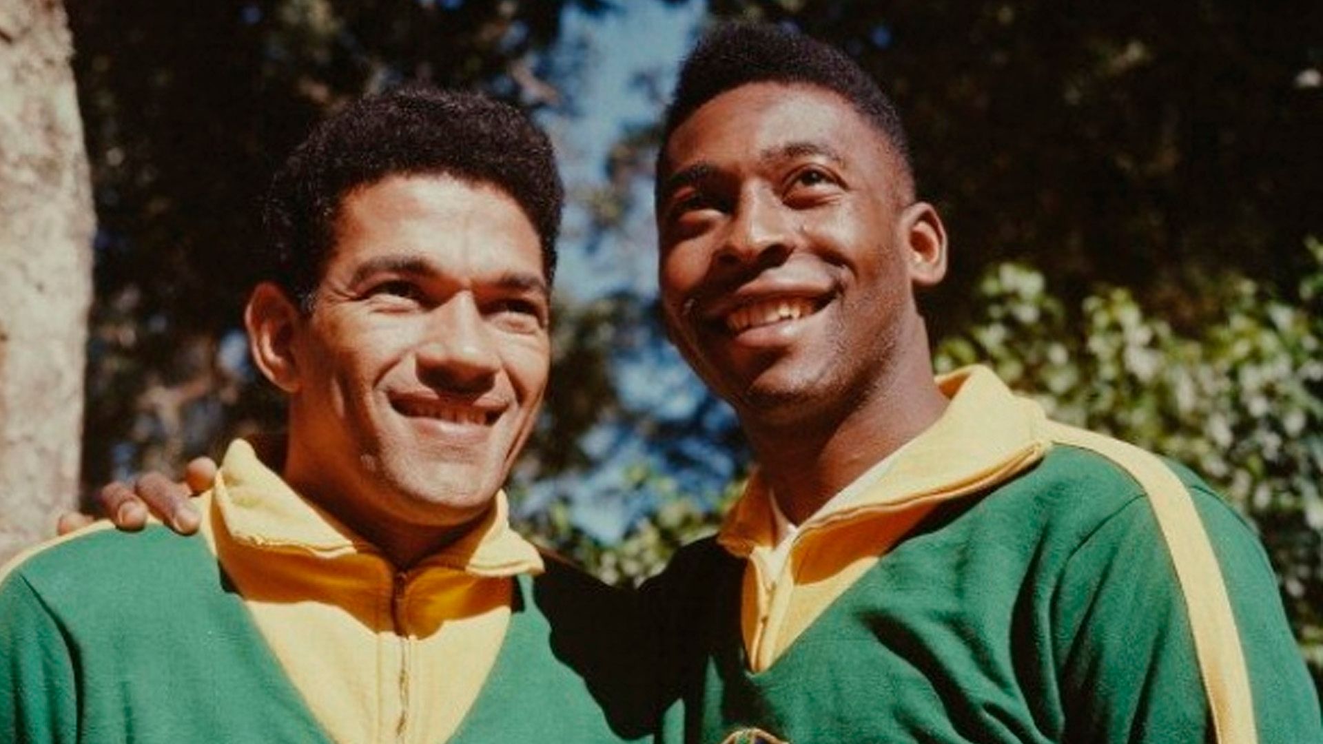 Pelé e Garrincha