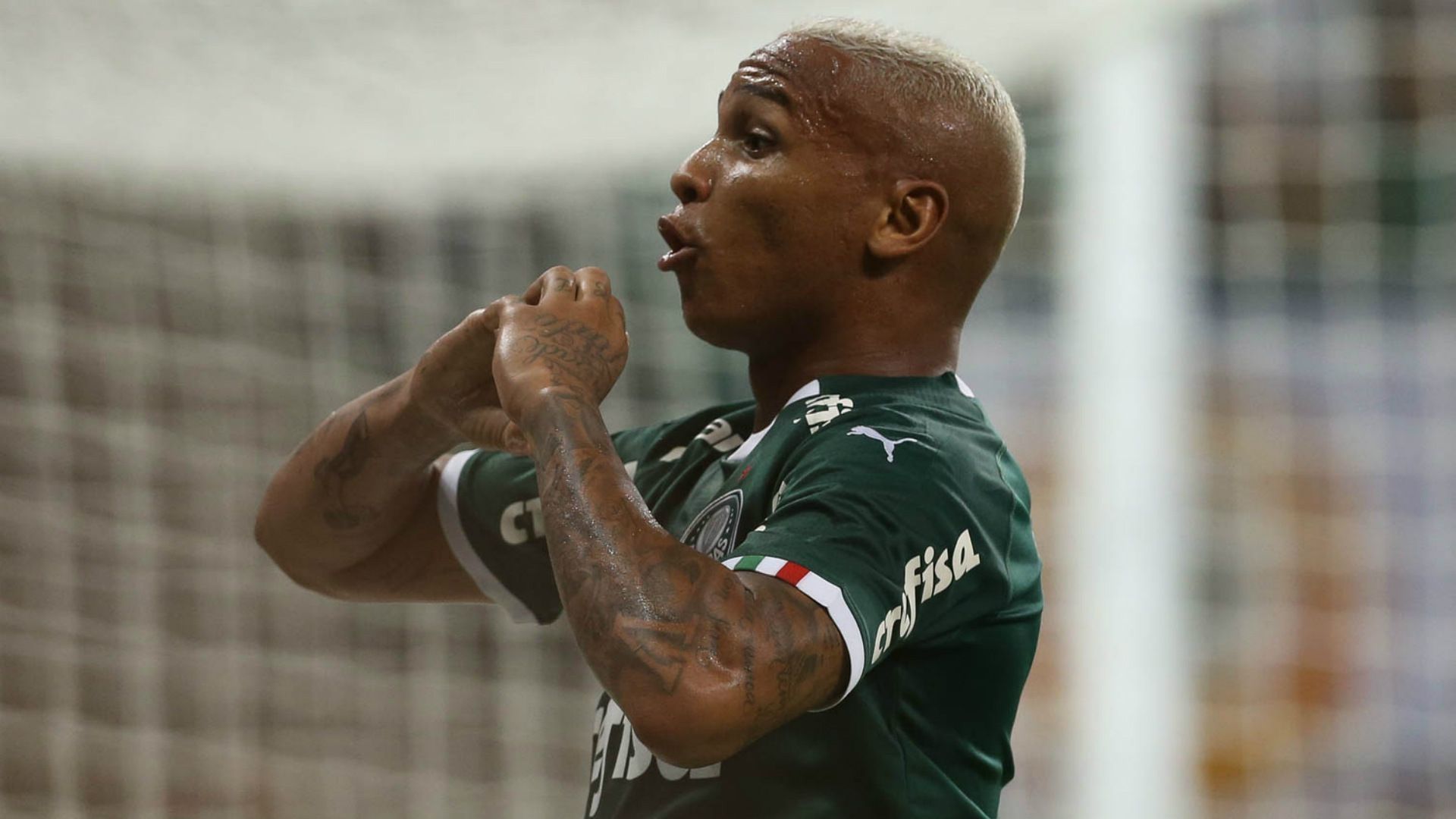 Deyverson - Palmeiras - 23/01/2019