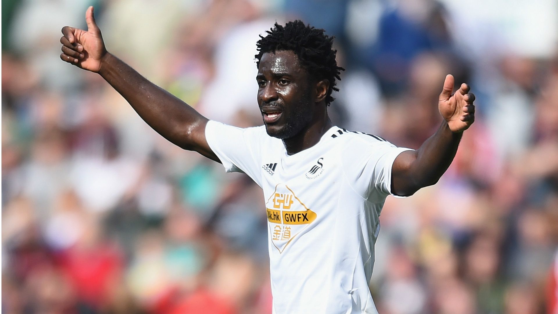Wilfried Bony Swansea City Premier League 300814