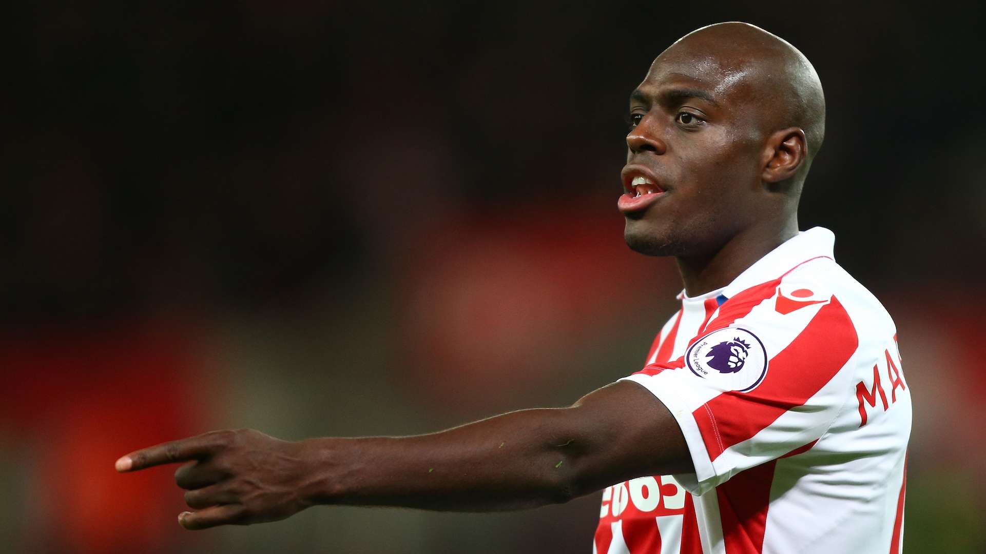 Bruno Martins Indi