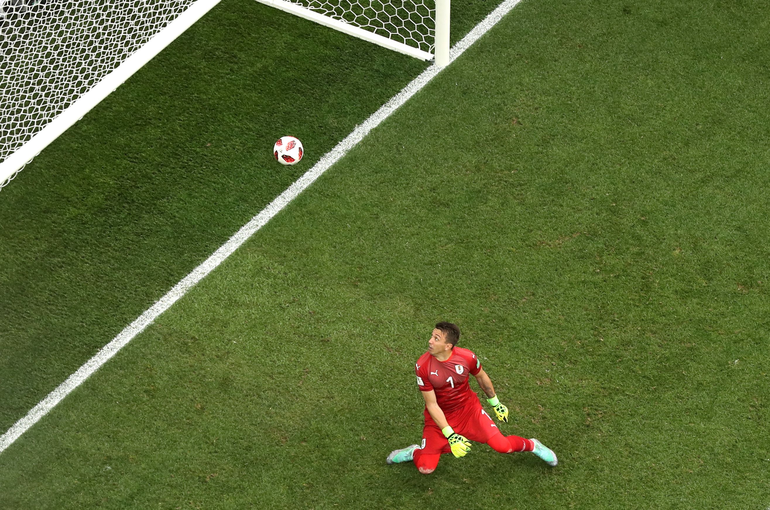 Muslera France Uruguay