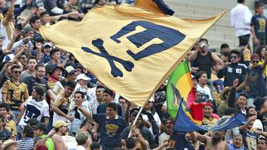 Rebel, Pumas, 12122015