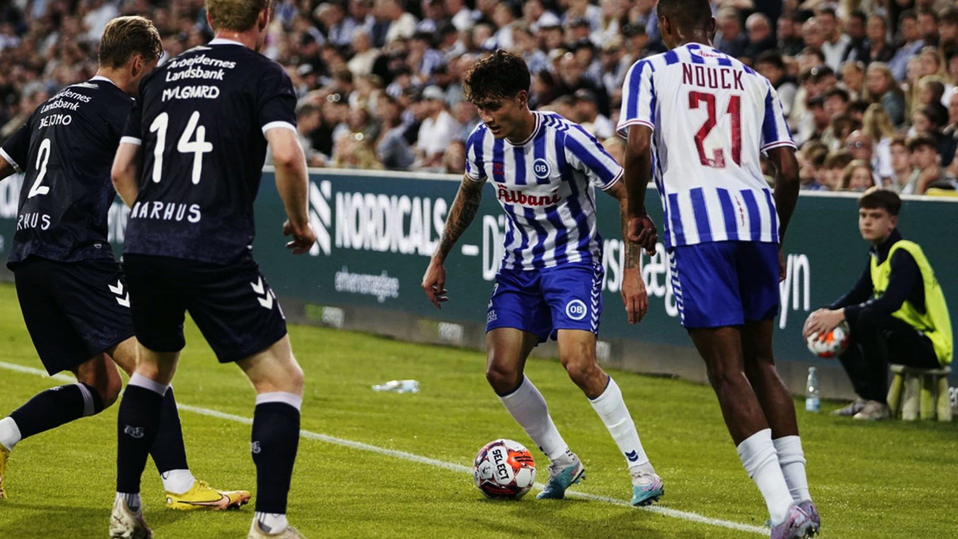 นิโคลัส มิคเกลสัน