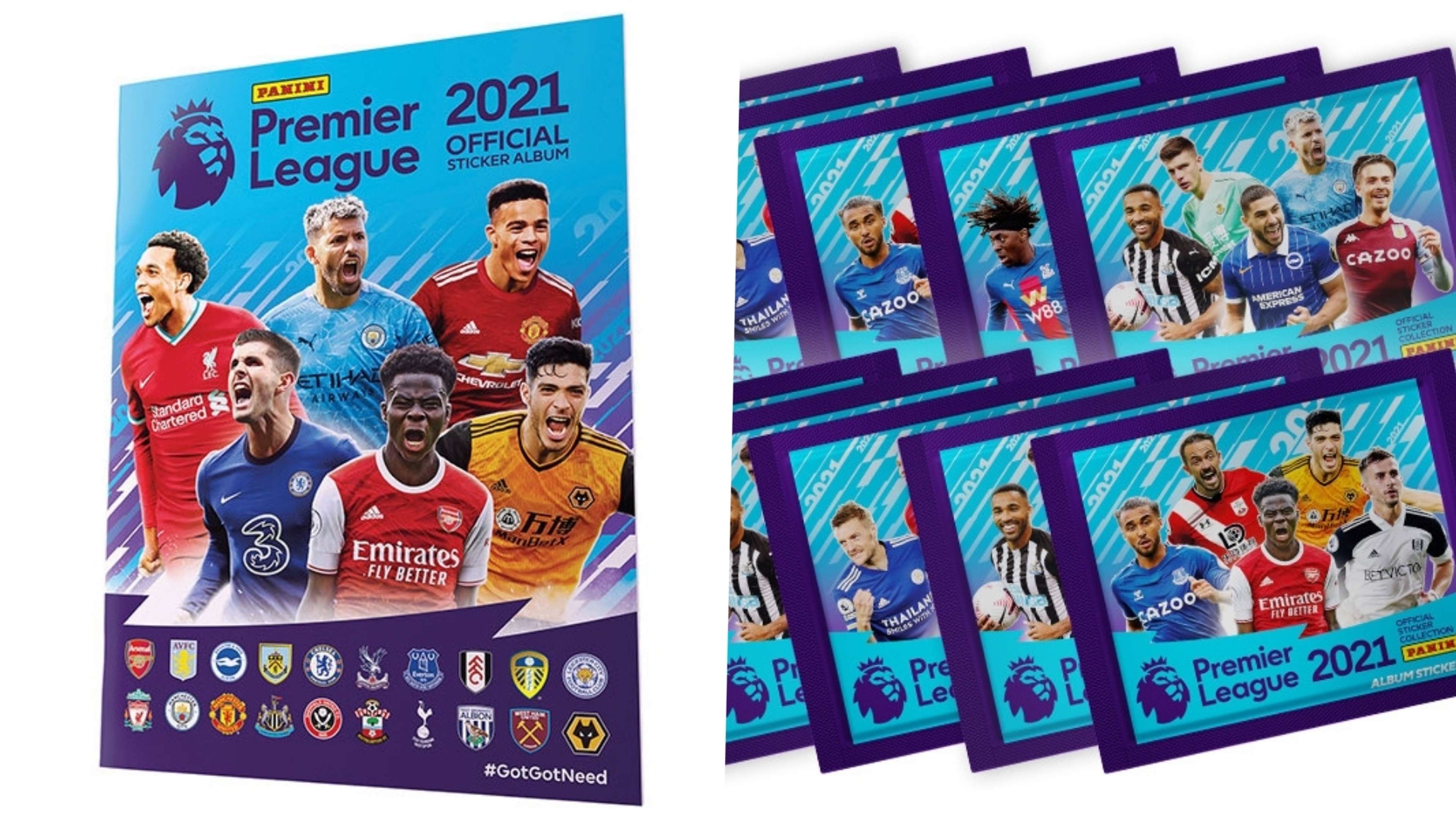 Panini Premier League 2021 sticker book