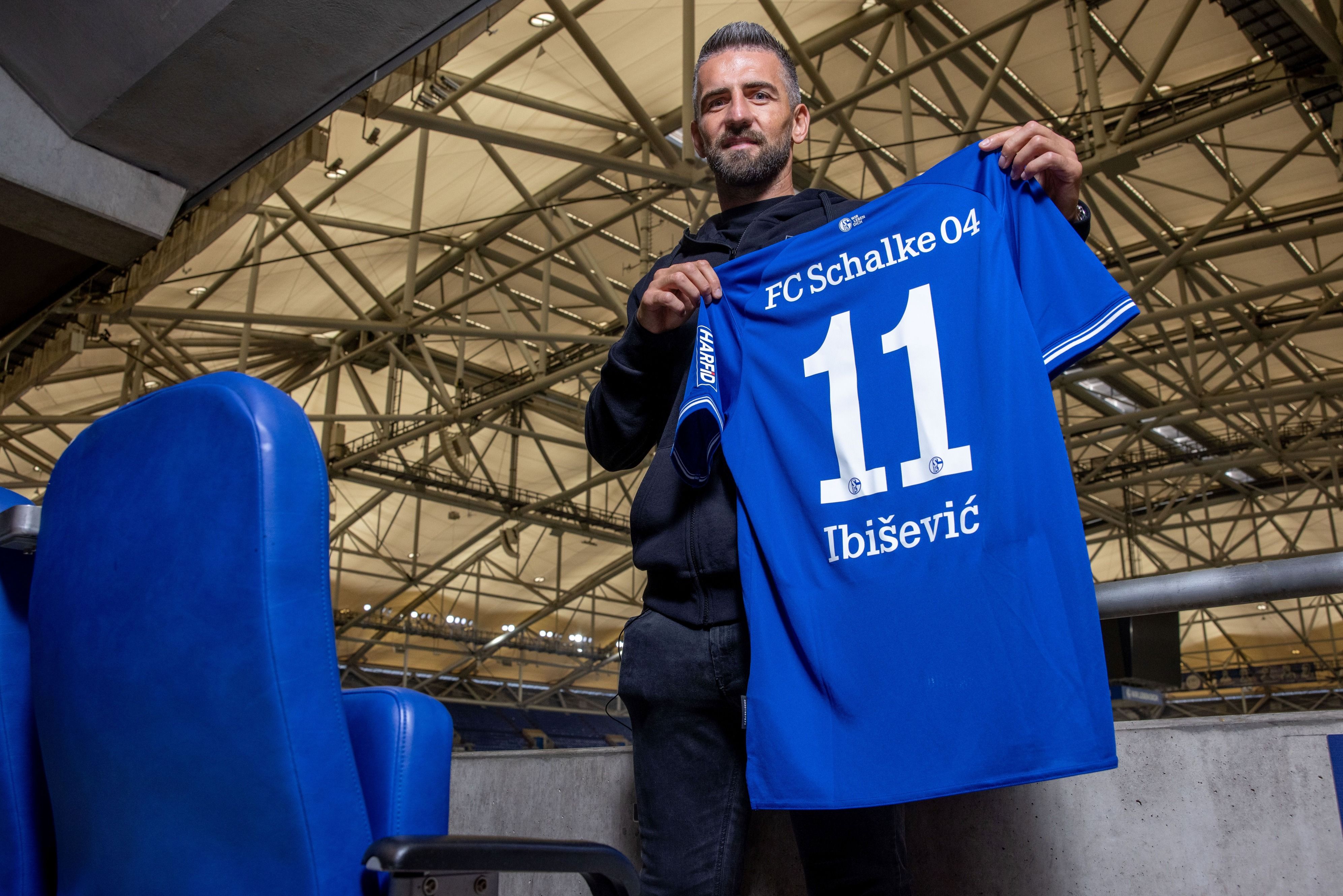 Vedad Ibisevic Schalke 04
