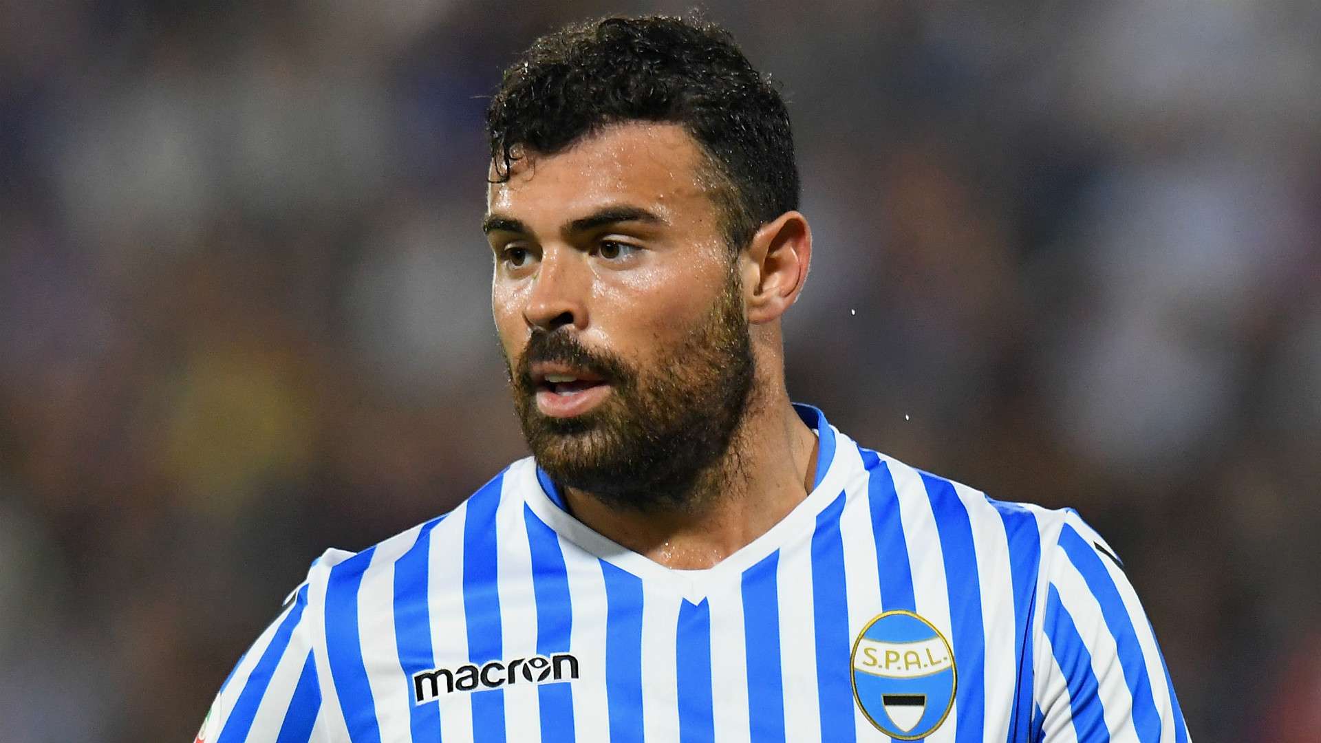 Andrea Petagna SPAL