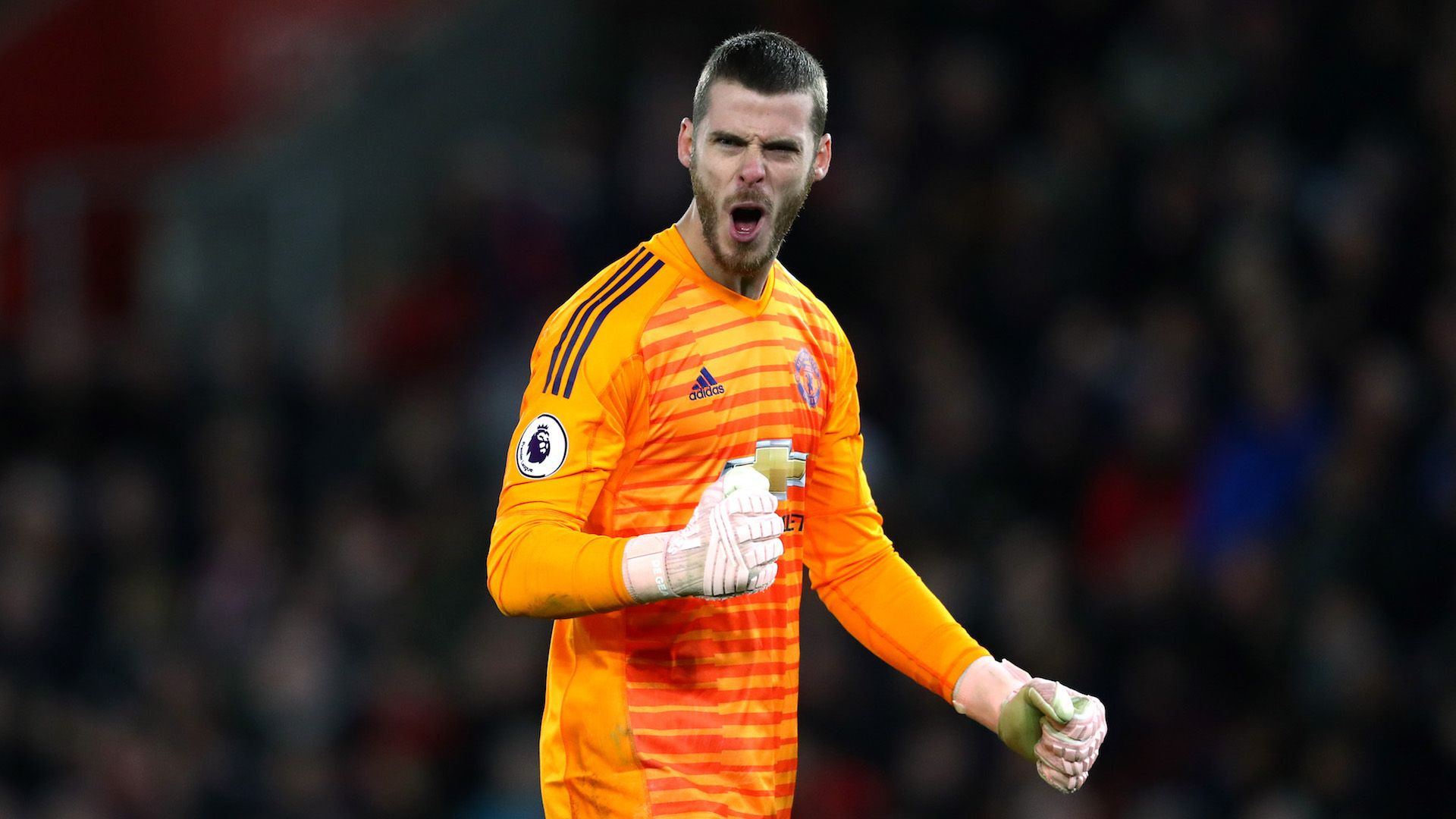 David de Gea - Manchester United