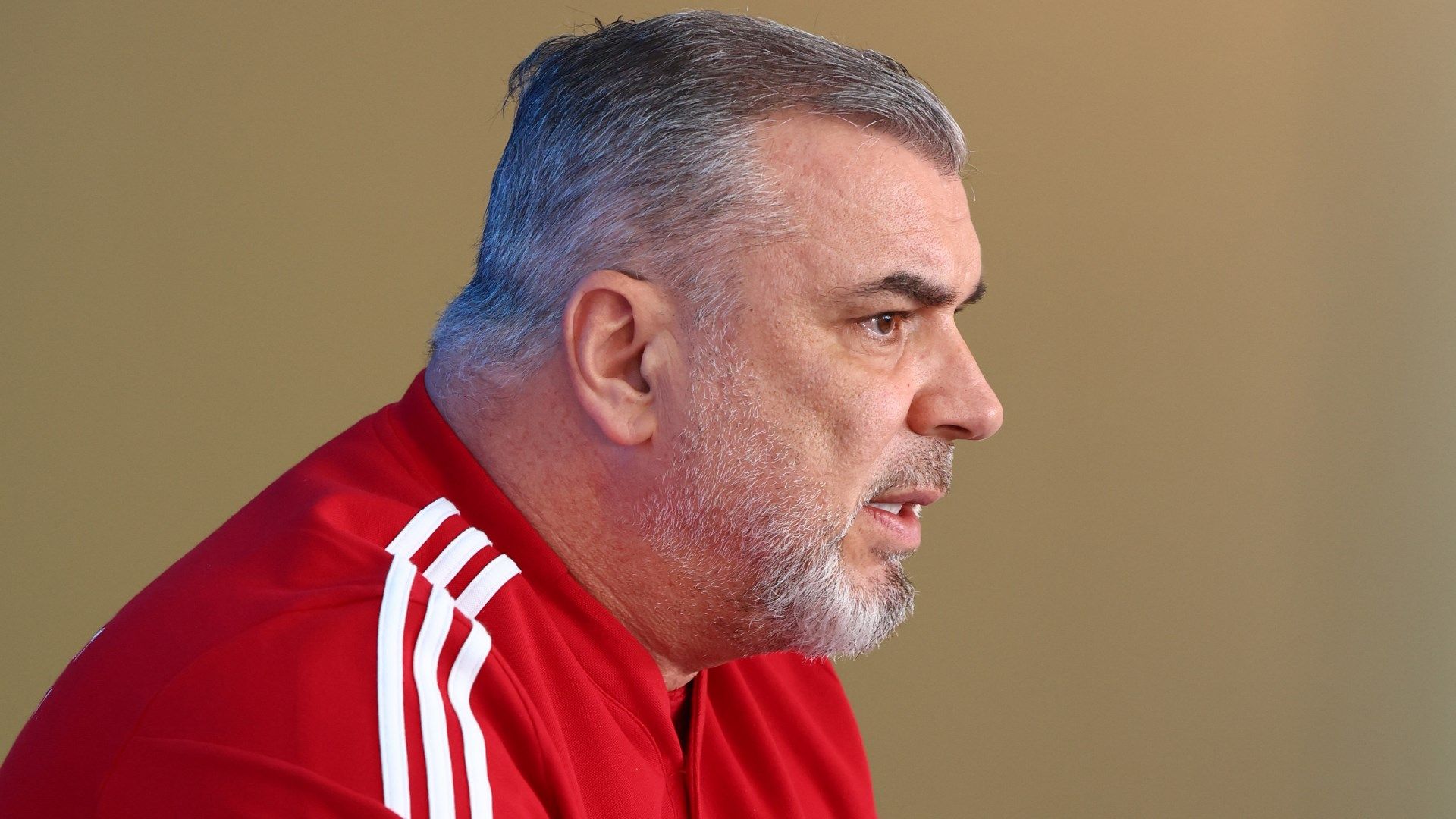 Cosmin Olăroiu