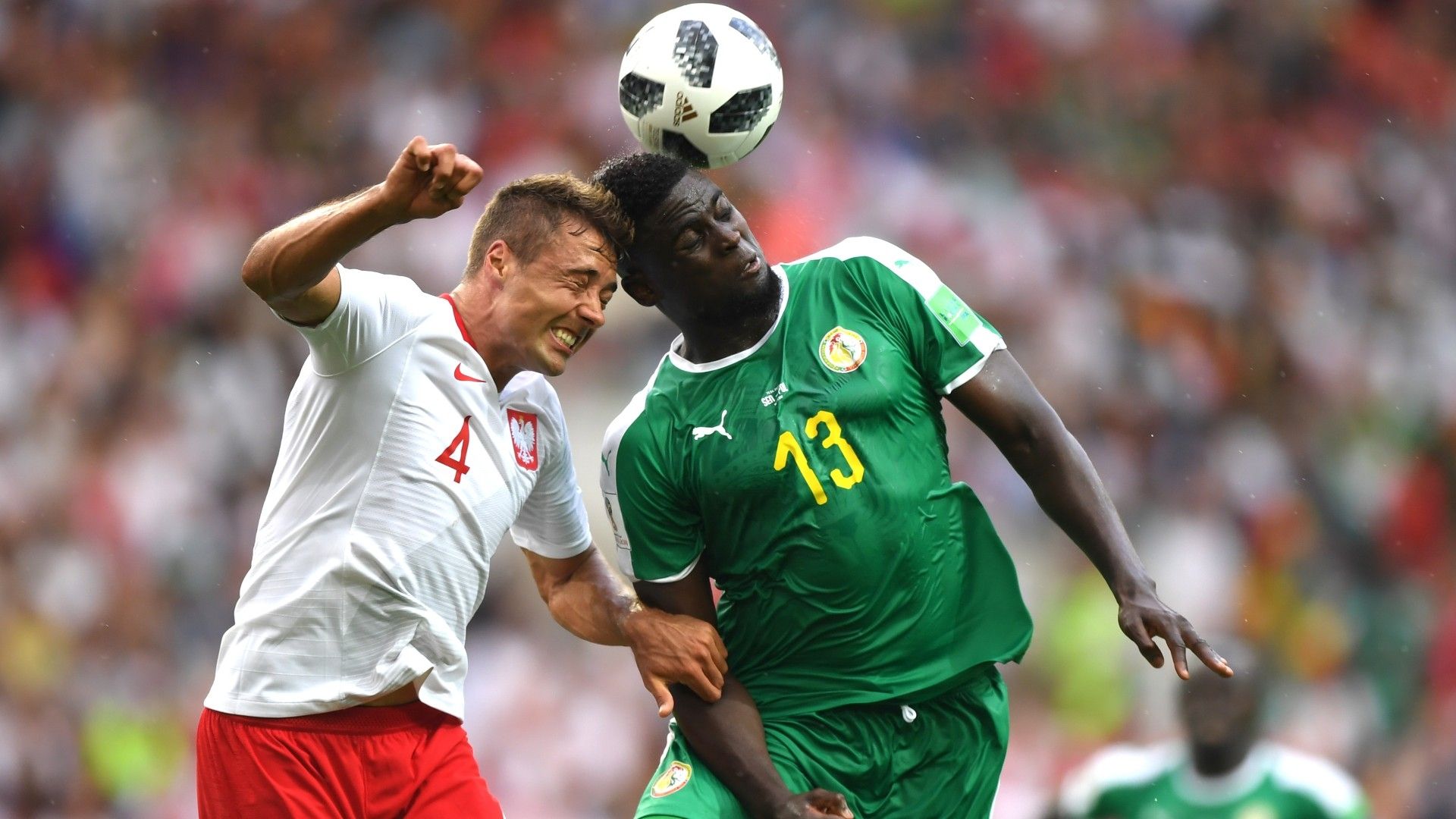 N'Diaye Polonia Senegal