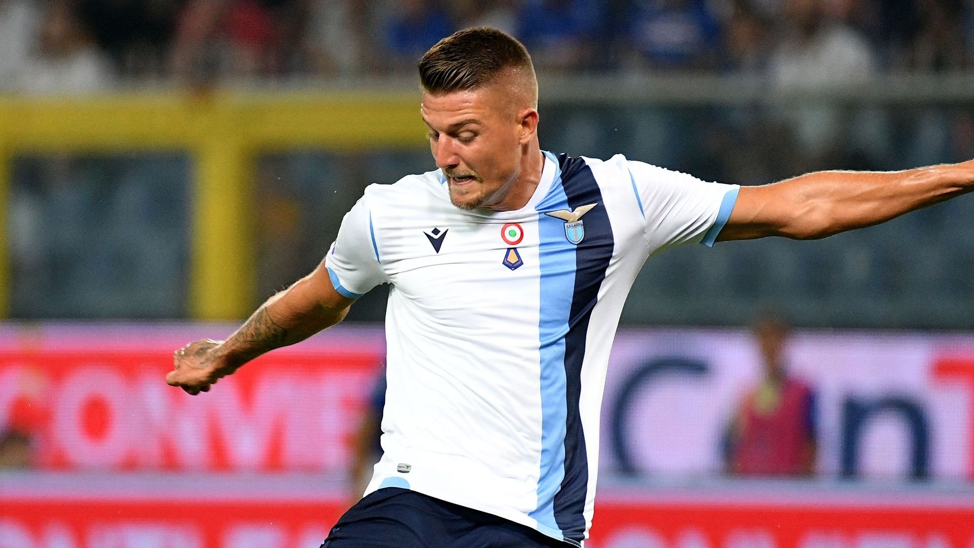 Sergei Milinkovic-Savic