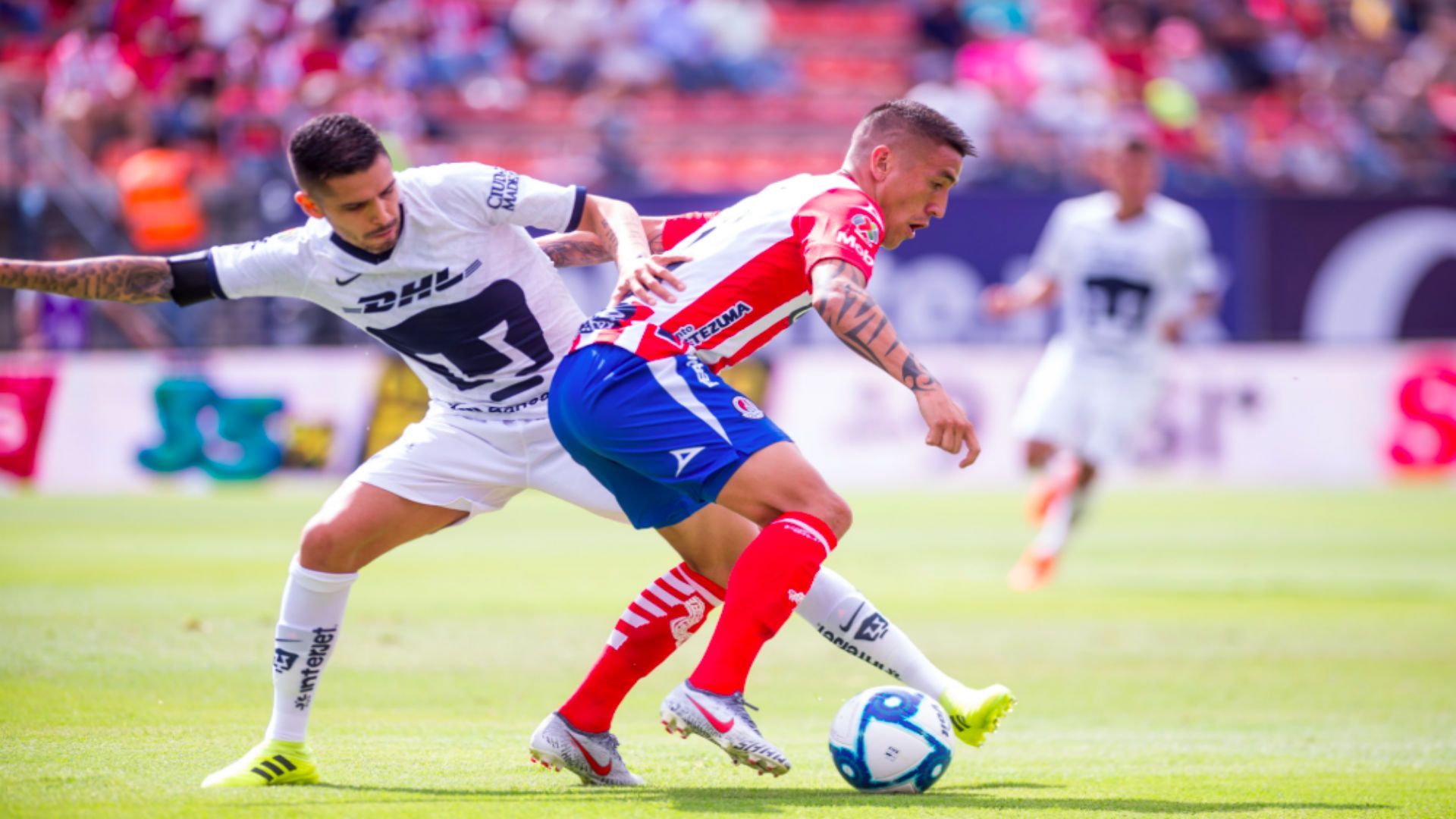 Atlético de San Luis Pumas Apertura 2019