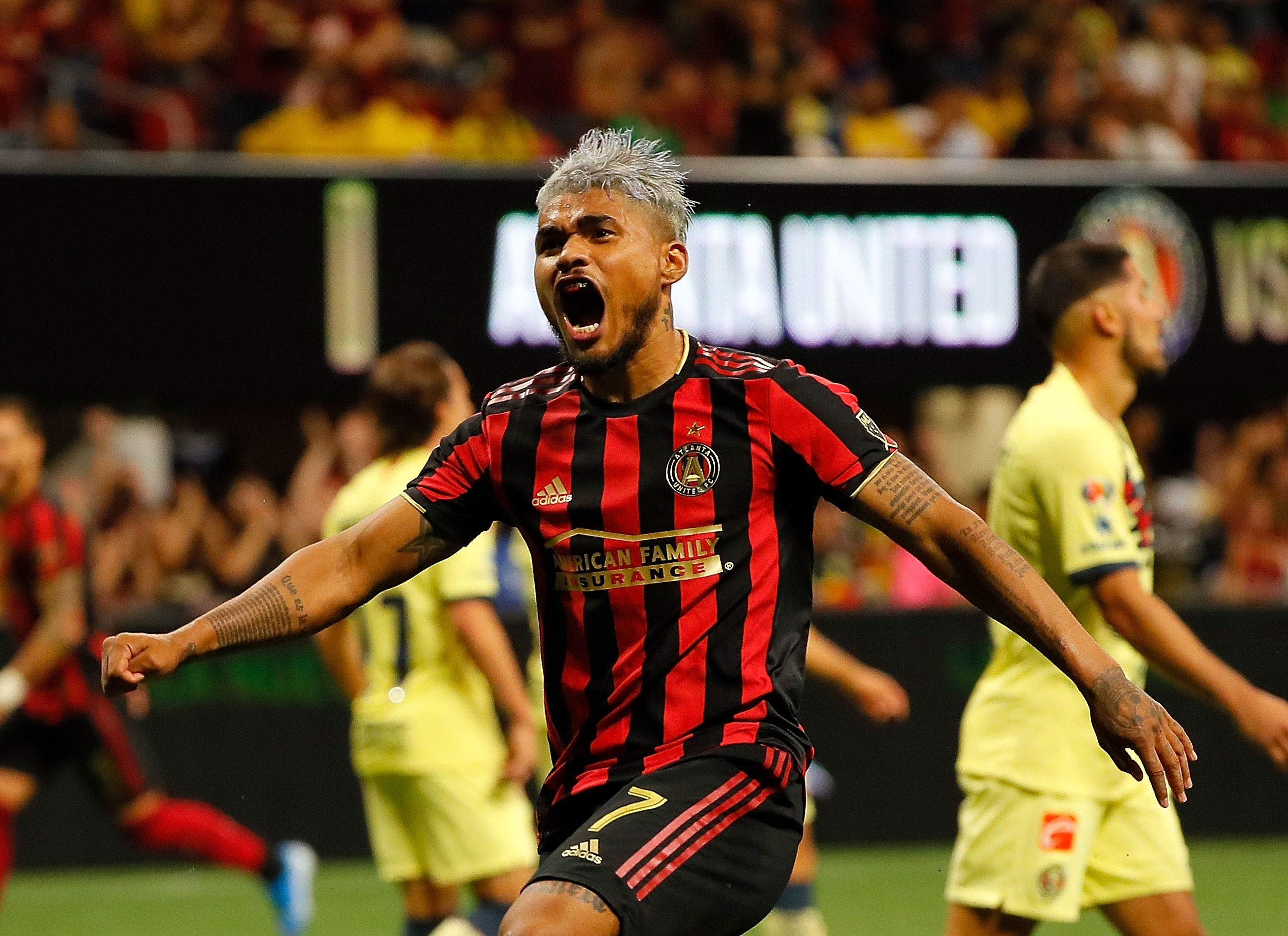 josef-mls