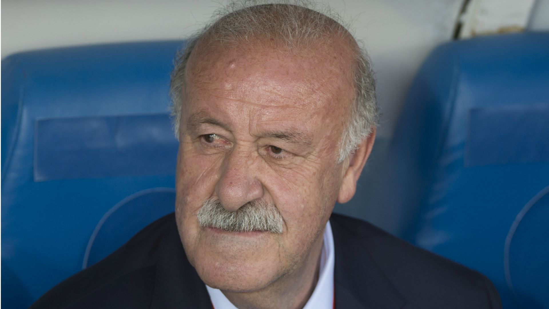 Vicente del Bosque Spain Georgia Friendly 07062016