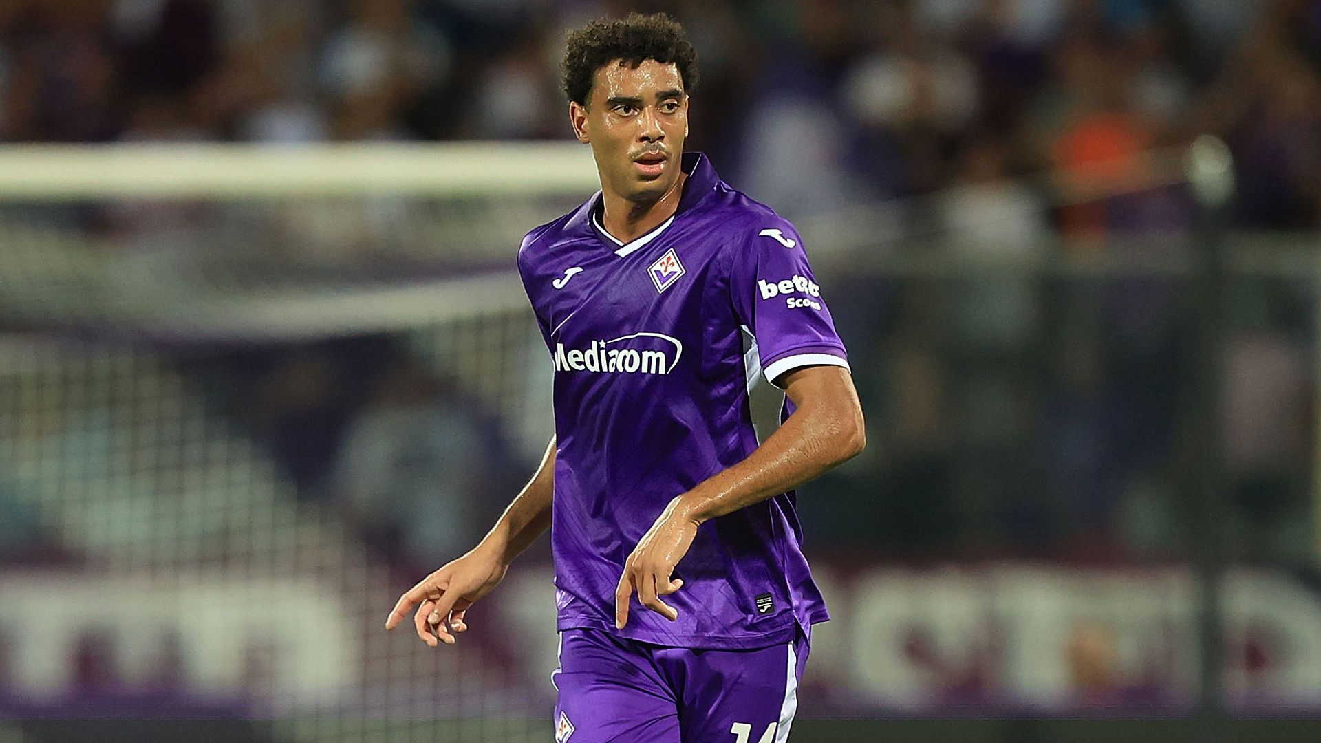 Atta Fiorentina