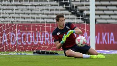 Cédric Carrasso Bordeaux Toulouse 02112014