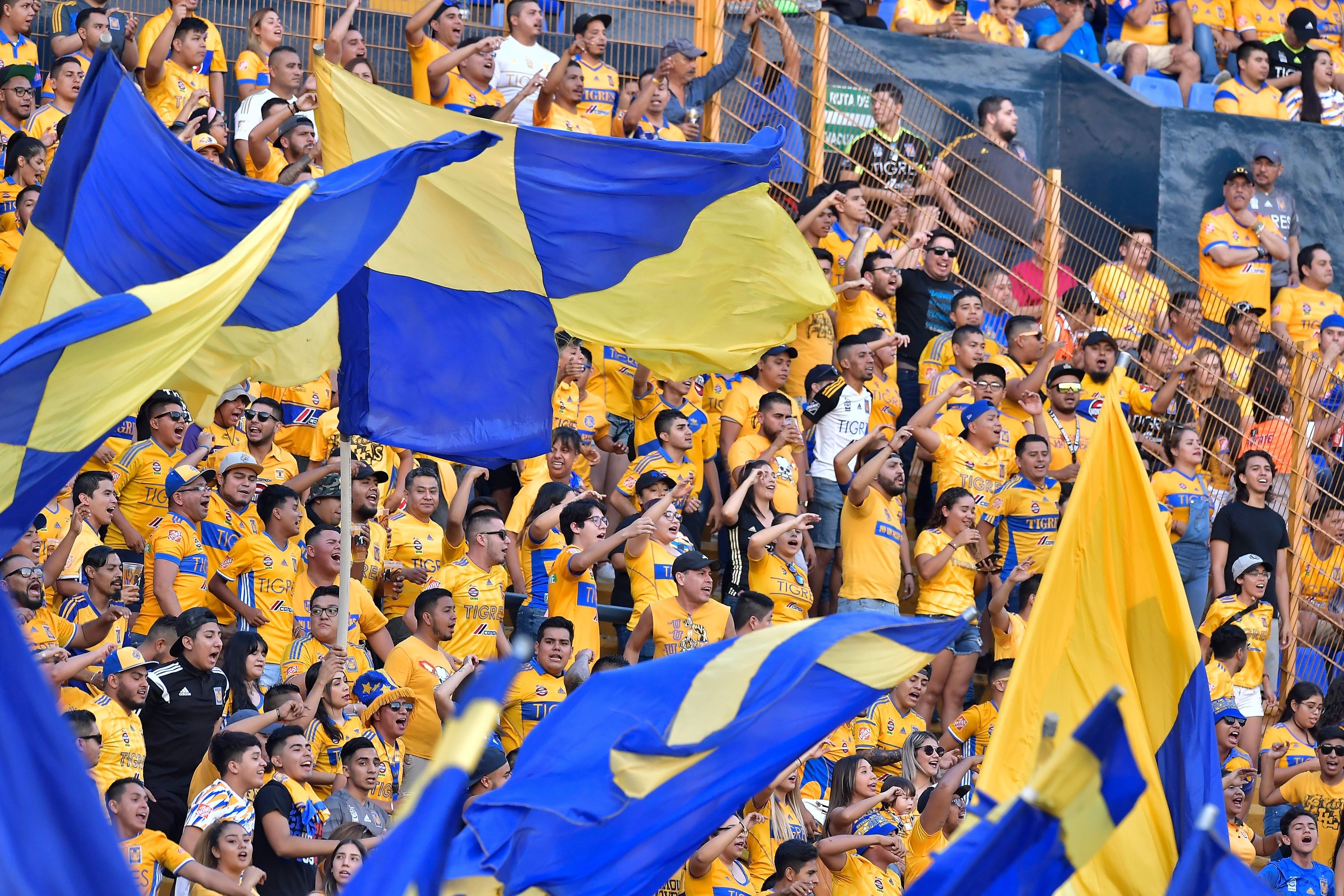 Estadio Tigres