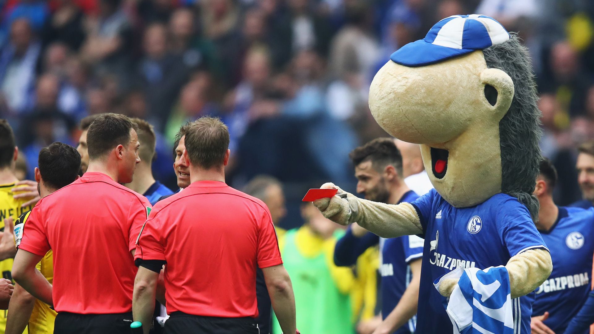 Erwin Schalke 04 01042017