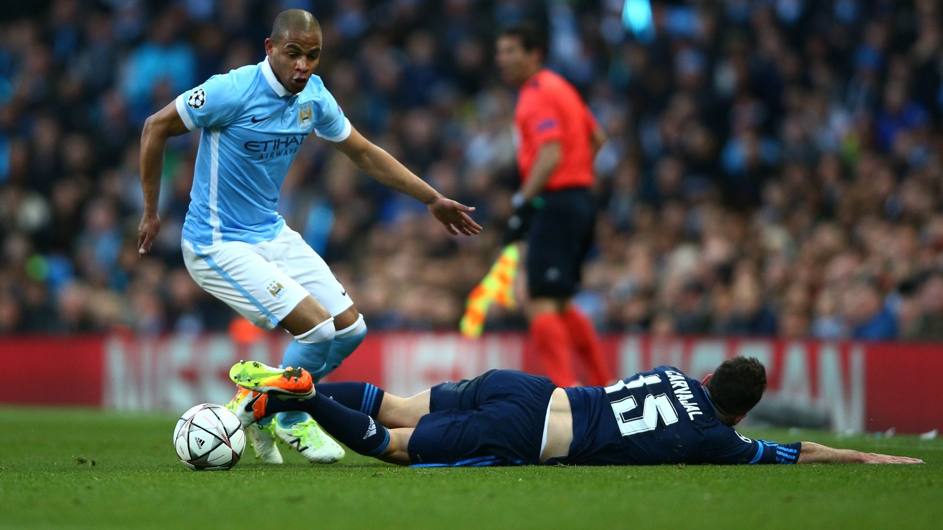 fernando manchester city